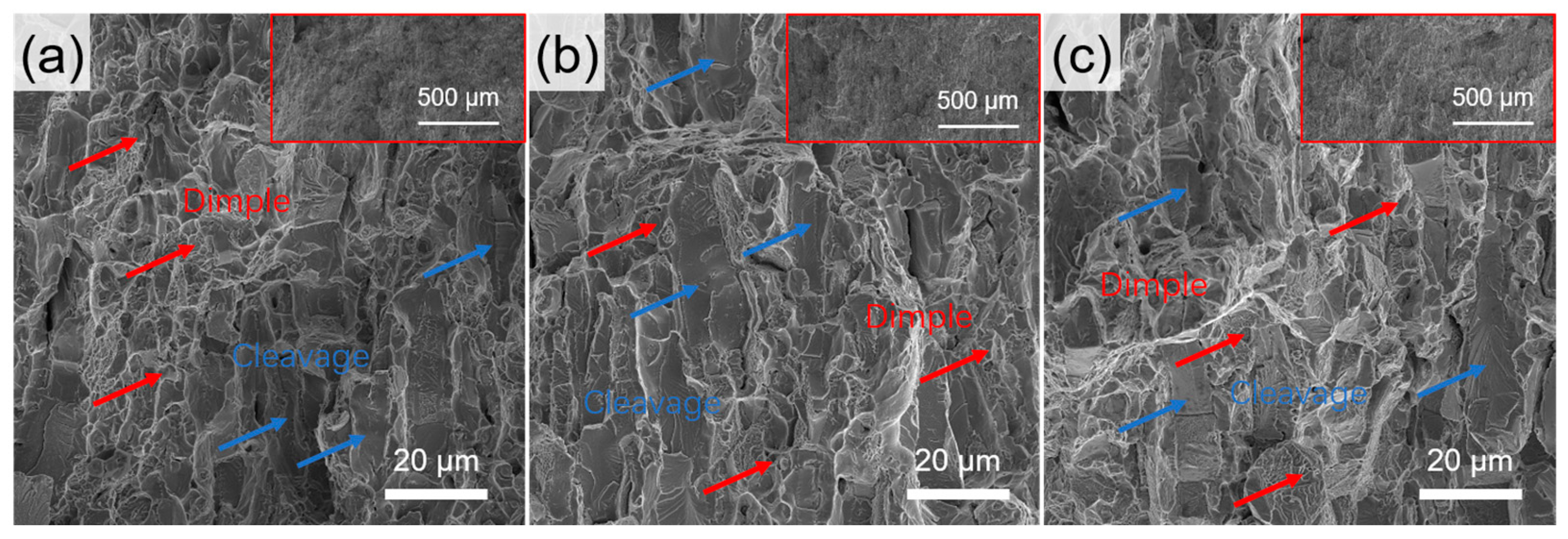 Metals 14 00726 g009