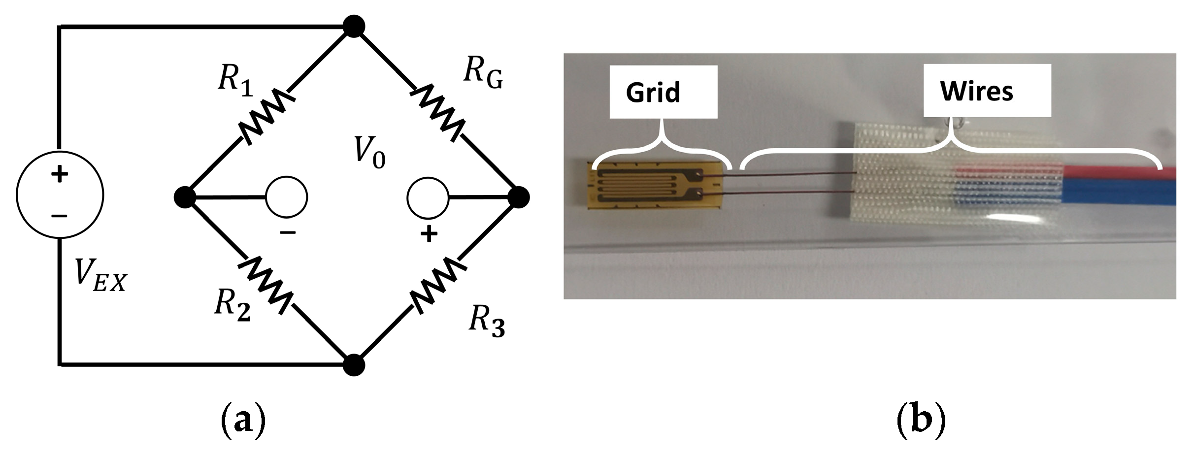 Metals 14 00741 g012