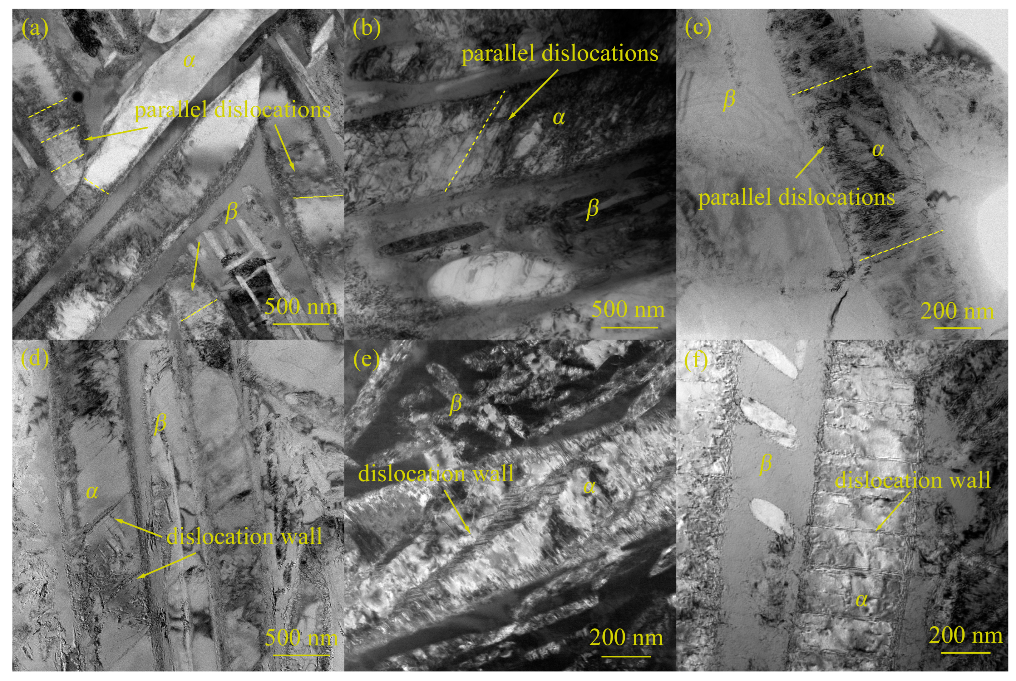 Metals 14 00743 g012