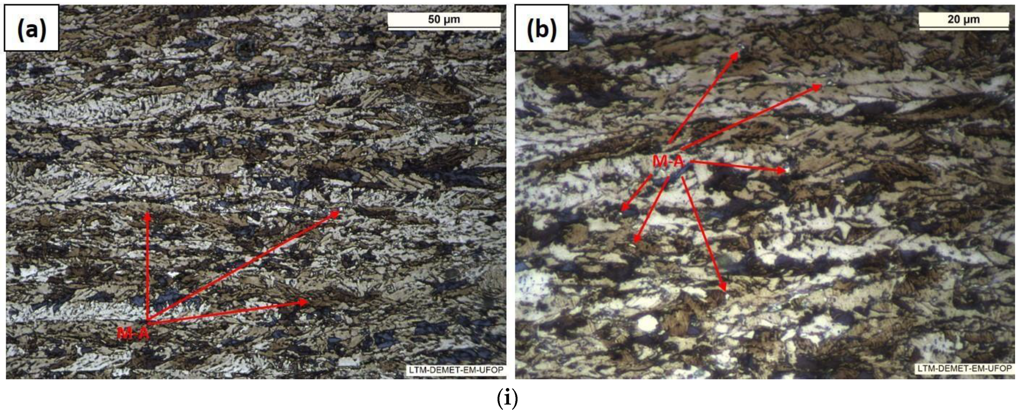 Metals 14 00746 g010a