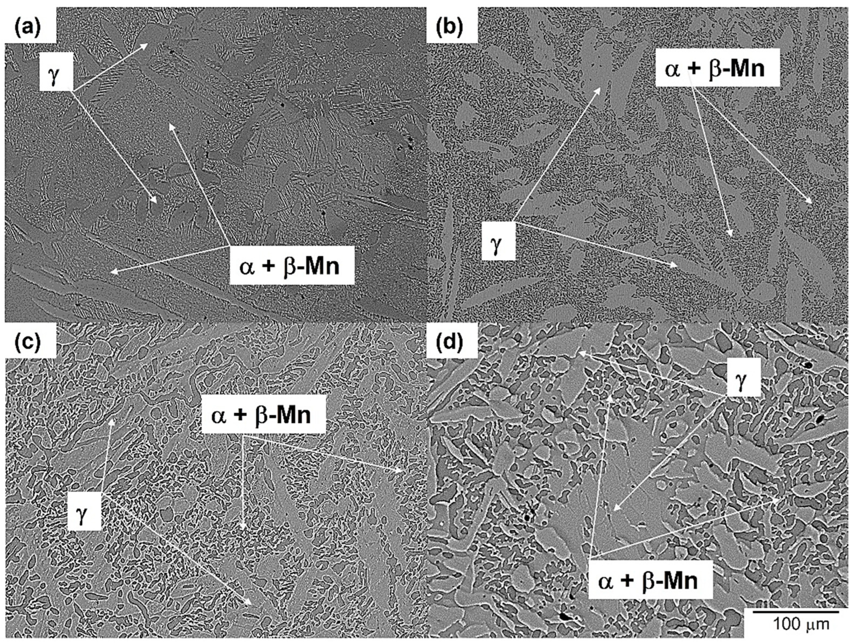 Metals 14 00748 g008