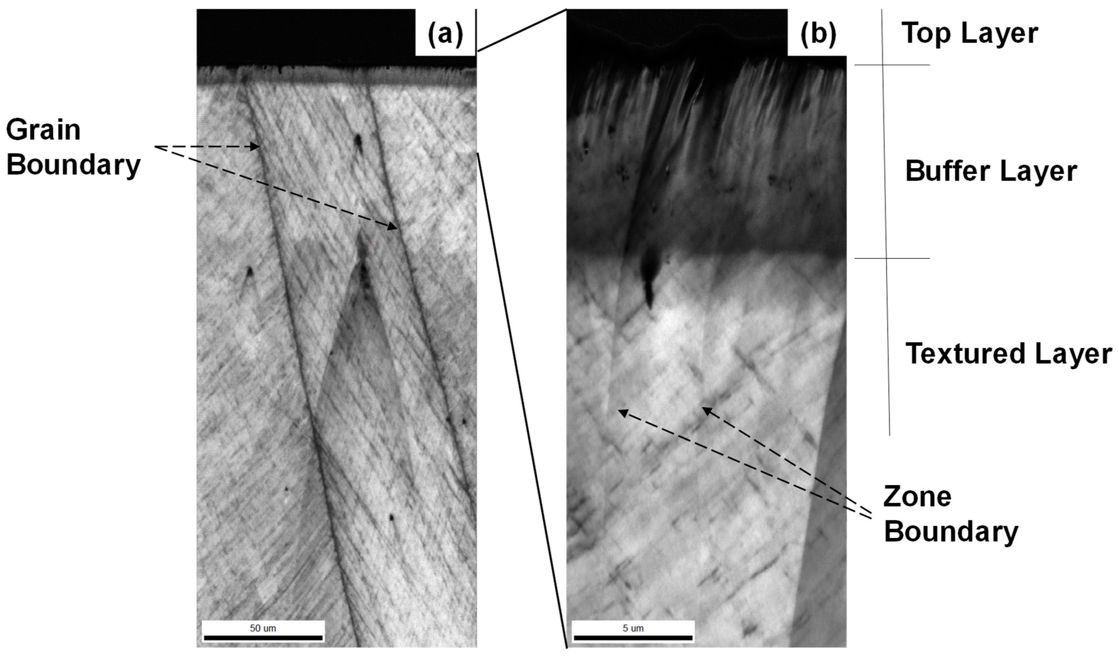 Metals 14 00755 g009
