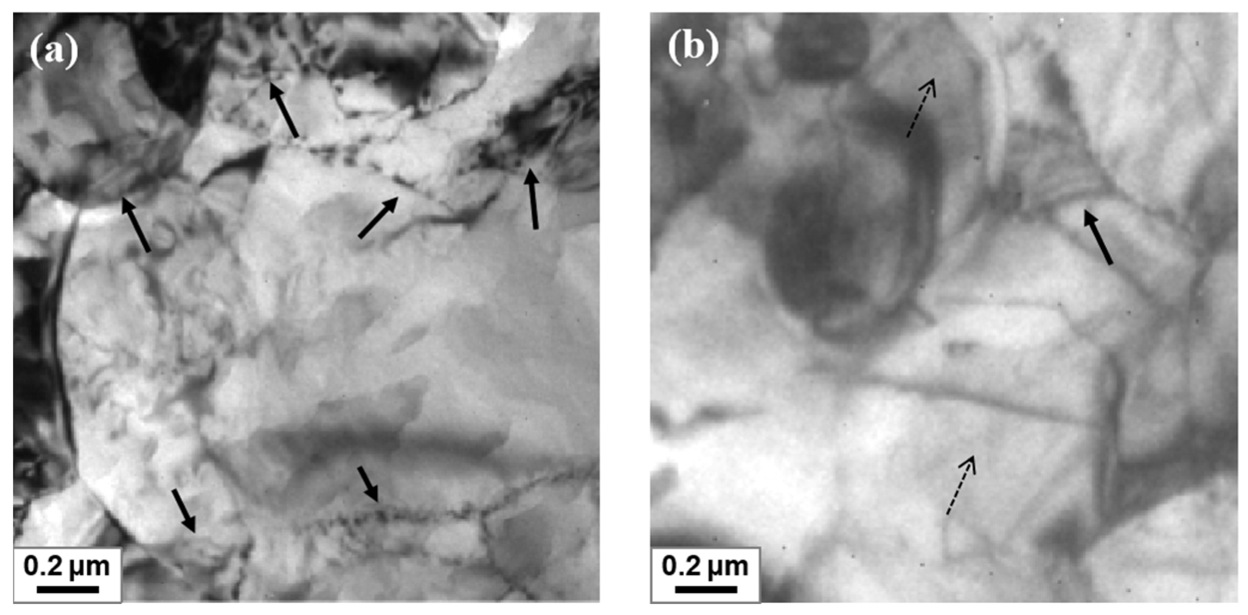 Metals 14 00785 g006