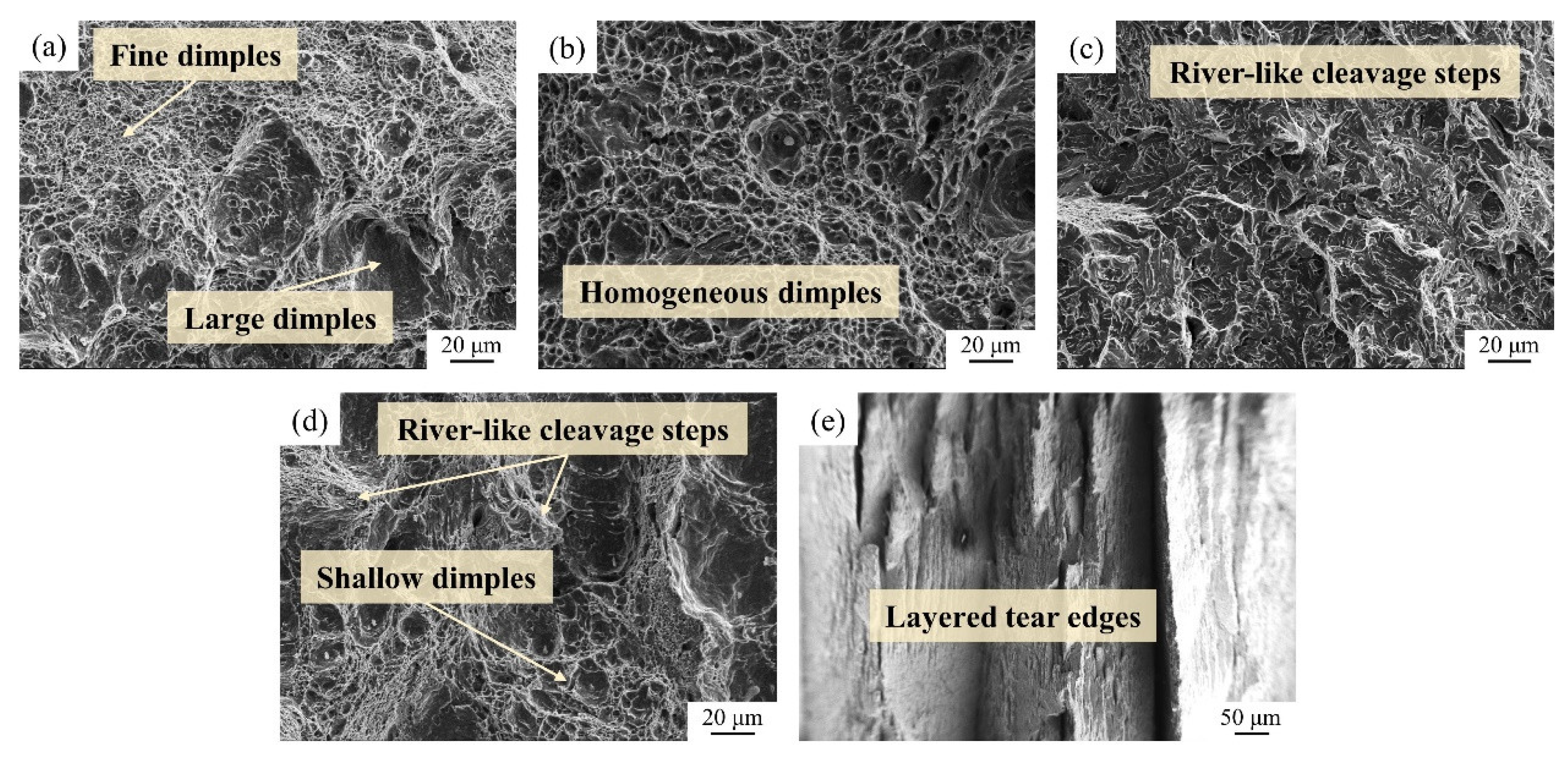 Metals 14 00794 g005