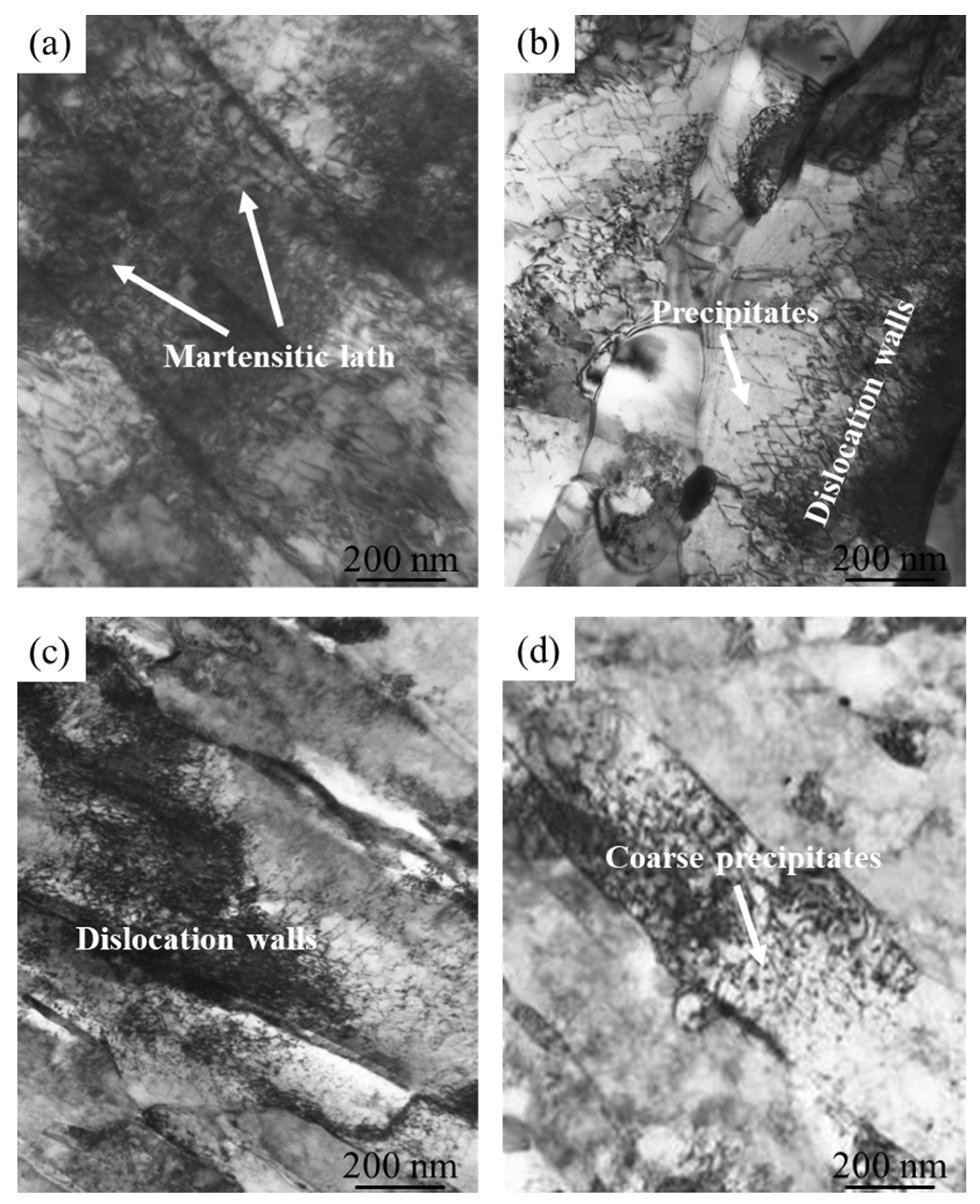 Metals 14 00794 g009