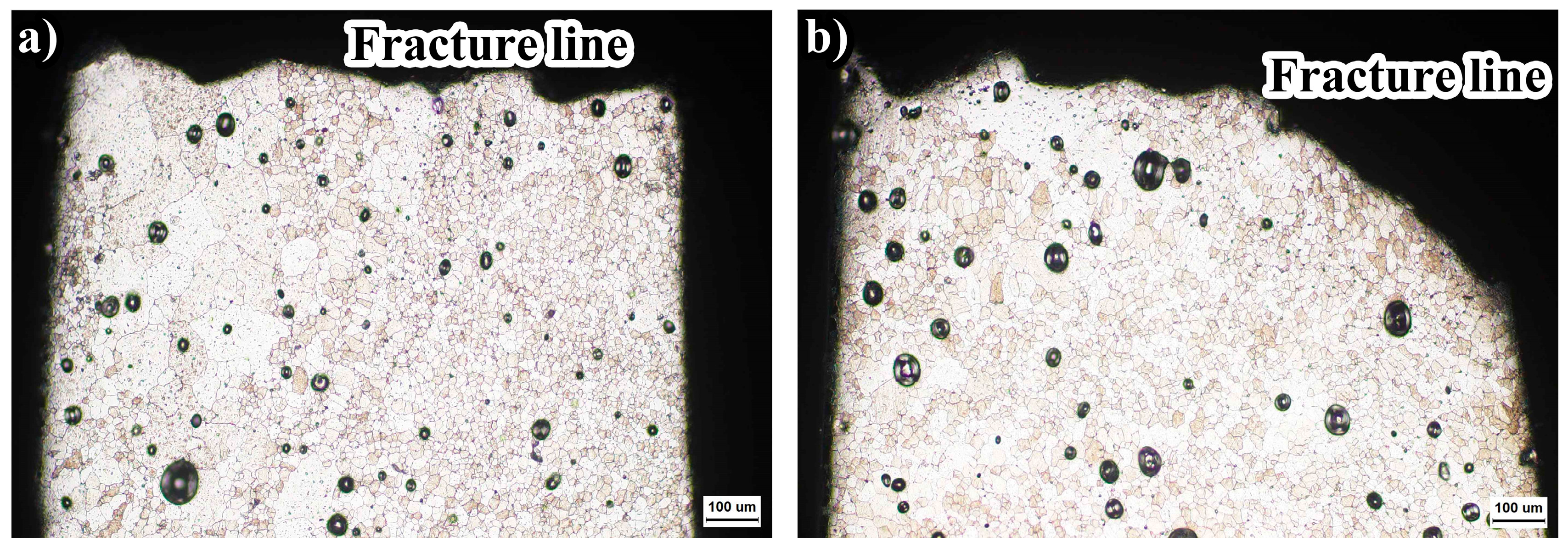 Metals 14 00797 g013