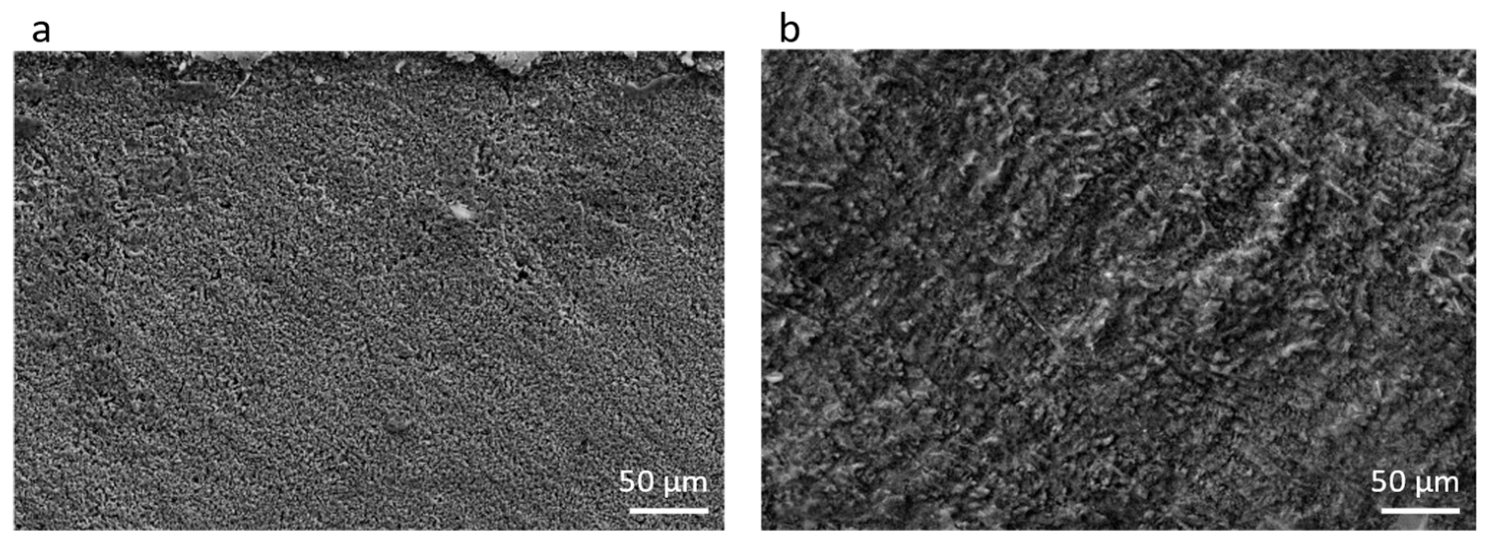 Metals 14 00800 g009