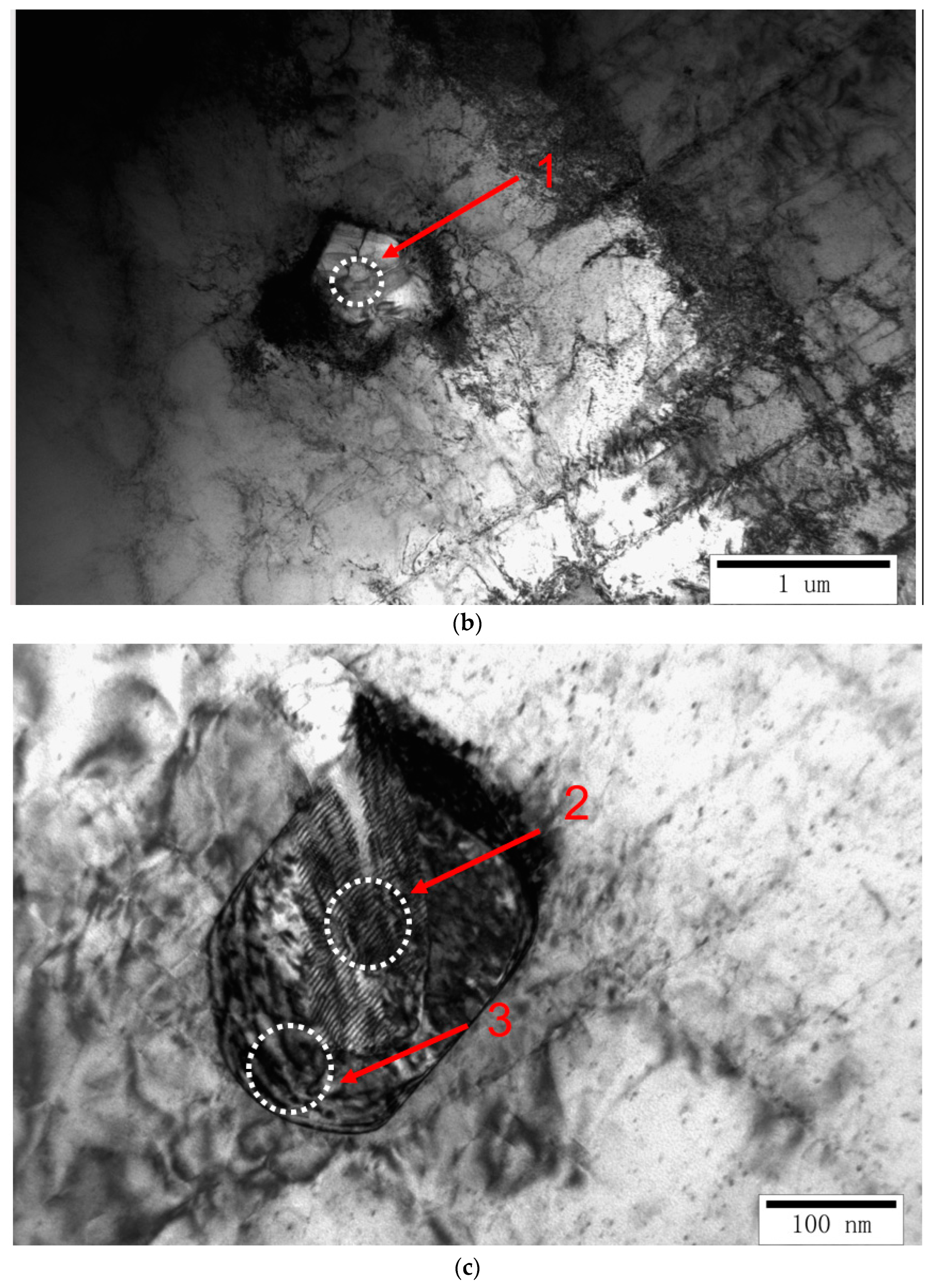 Metals 14 00809 g011b