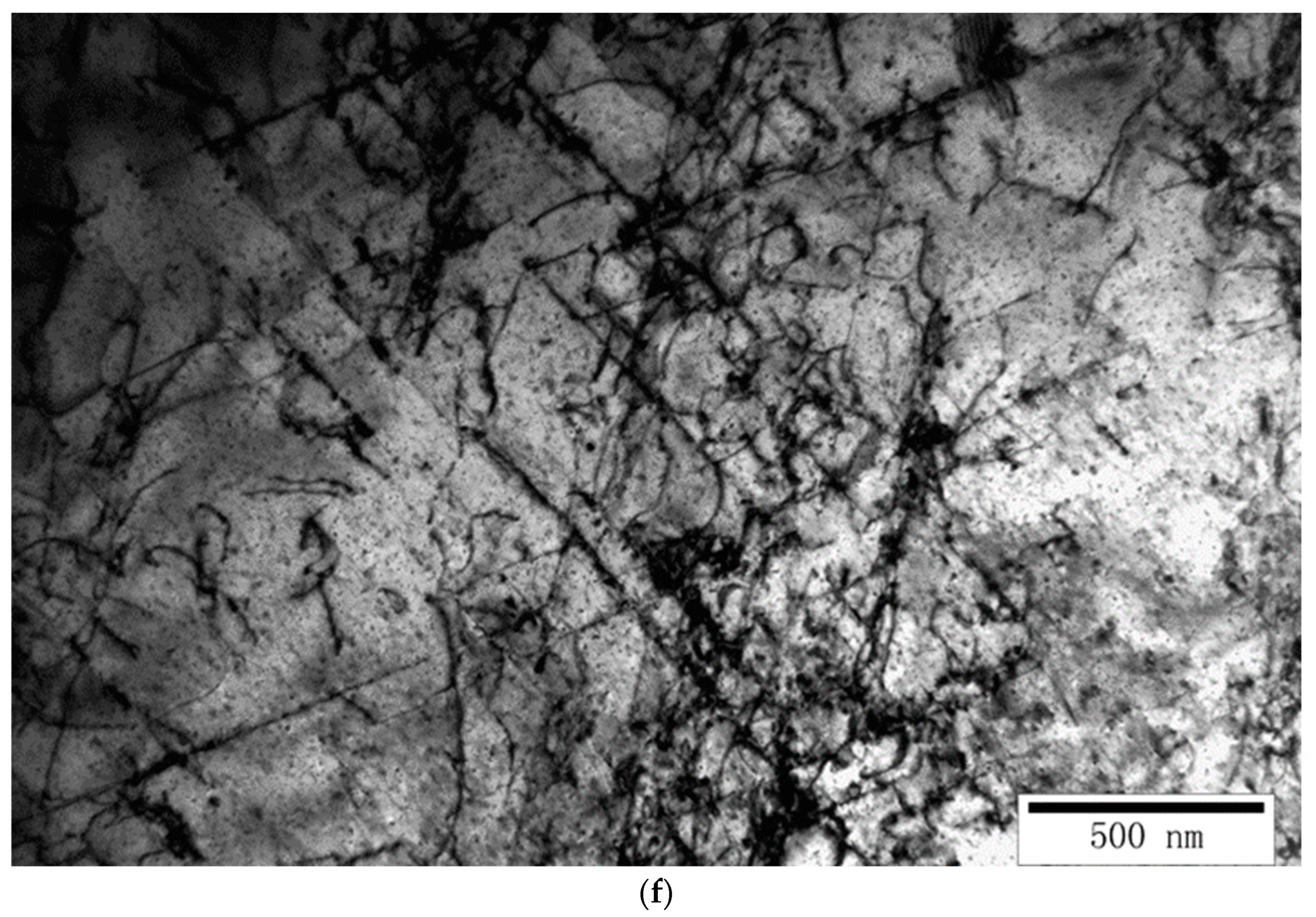 Metals 14 00809 g011d