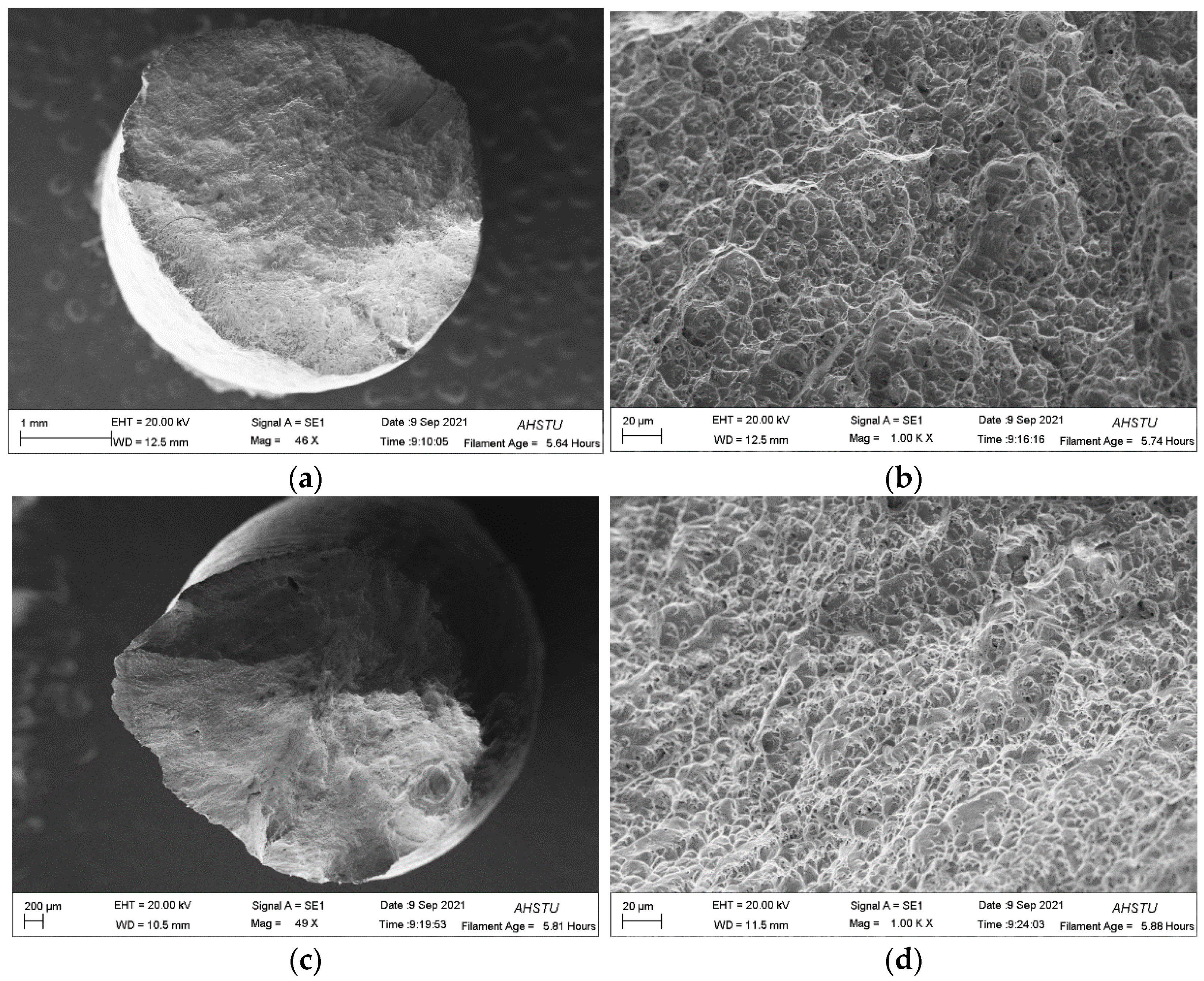 Metals 14 00809 g016