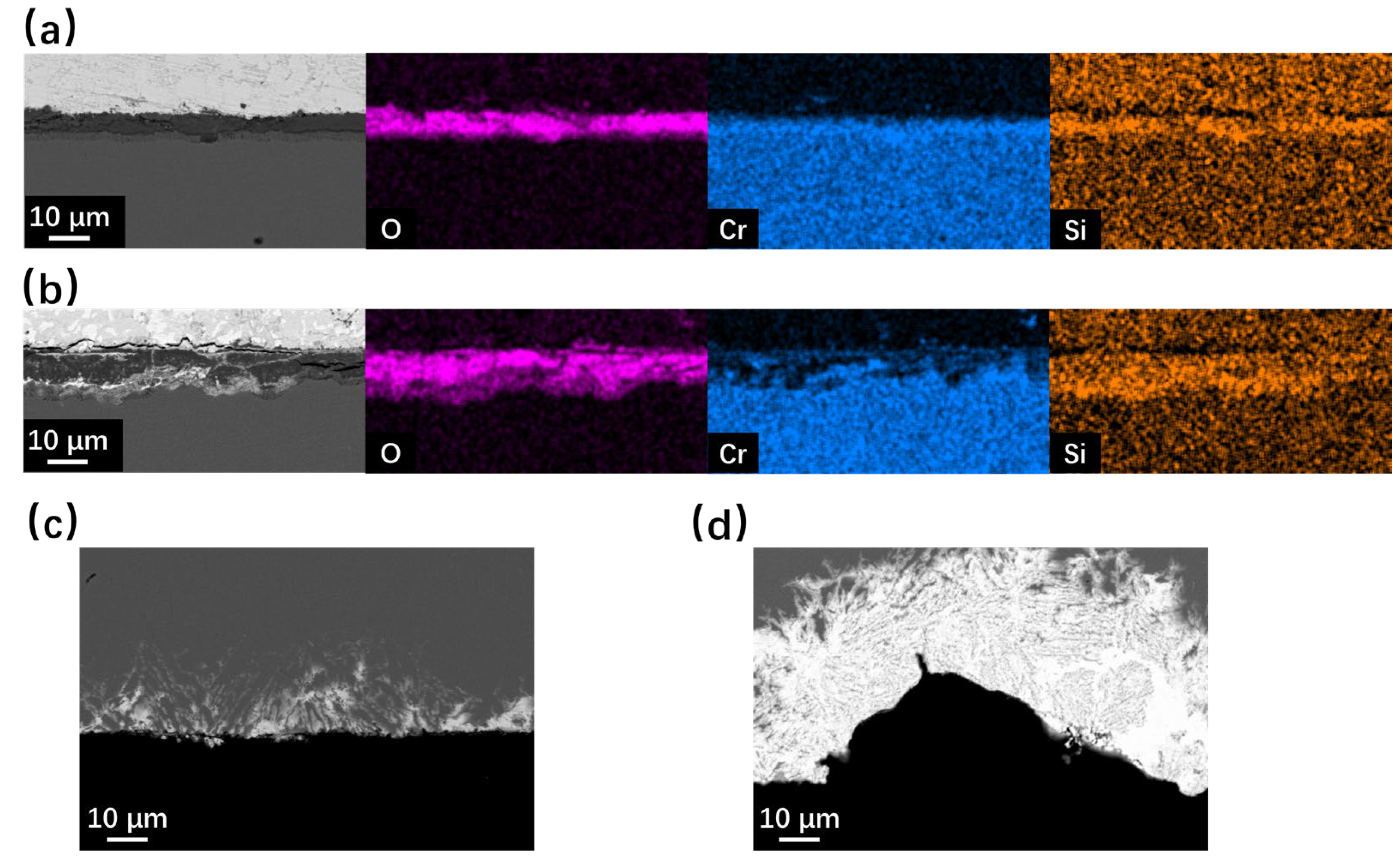 Metals 14 00810 g005