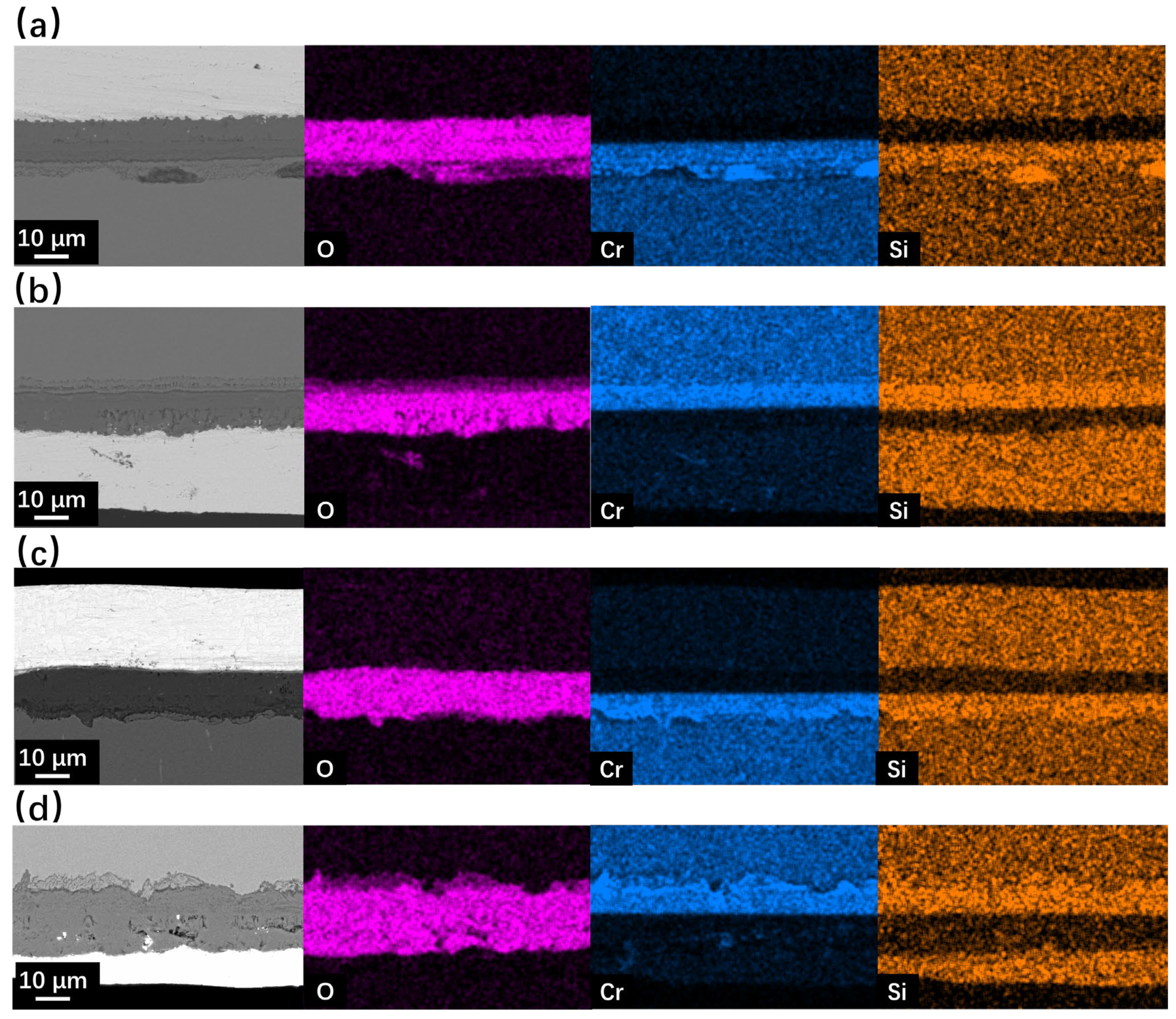Metals 14 00810 g007