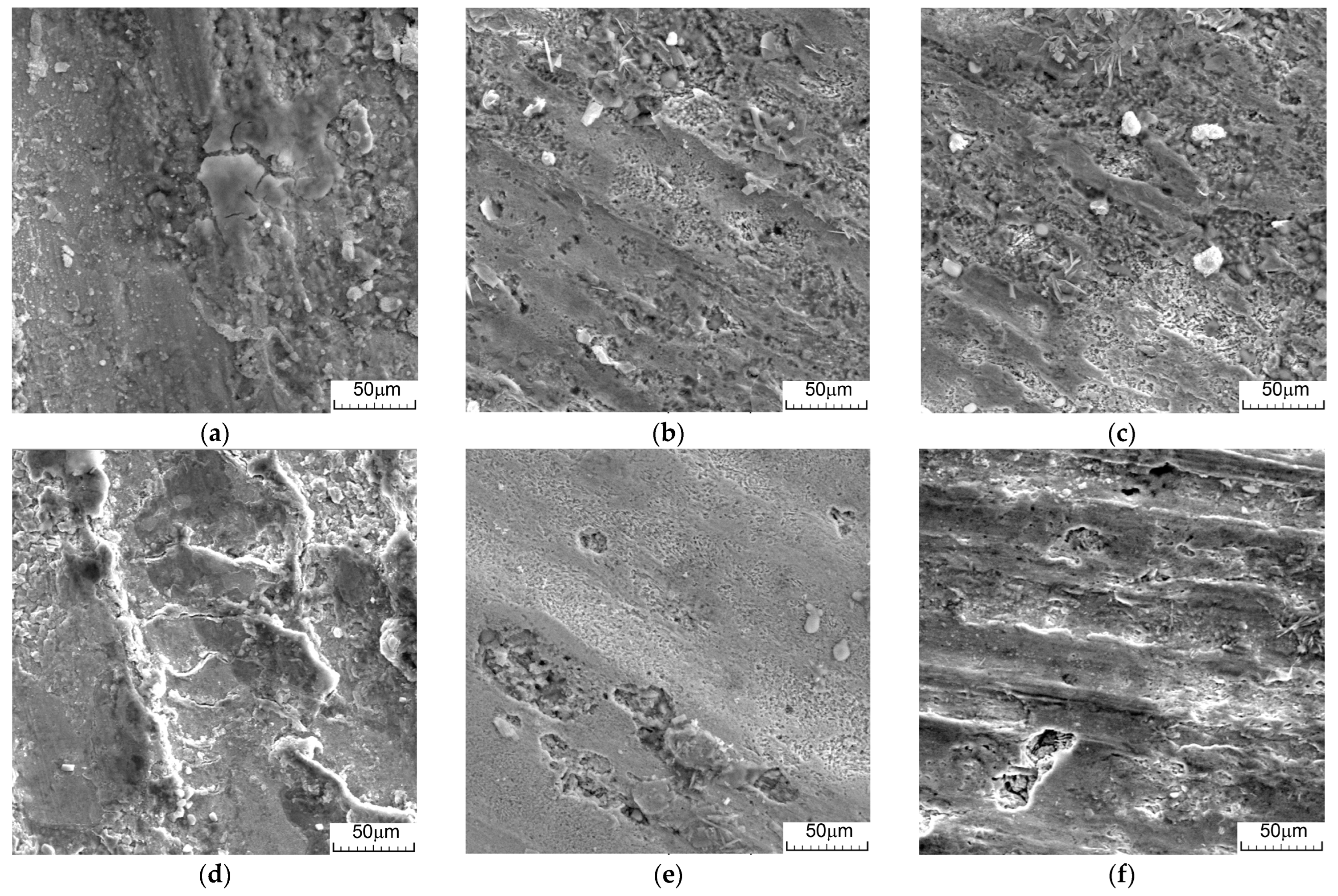 Metals 14 00836 g008