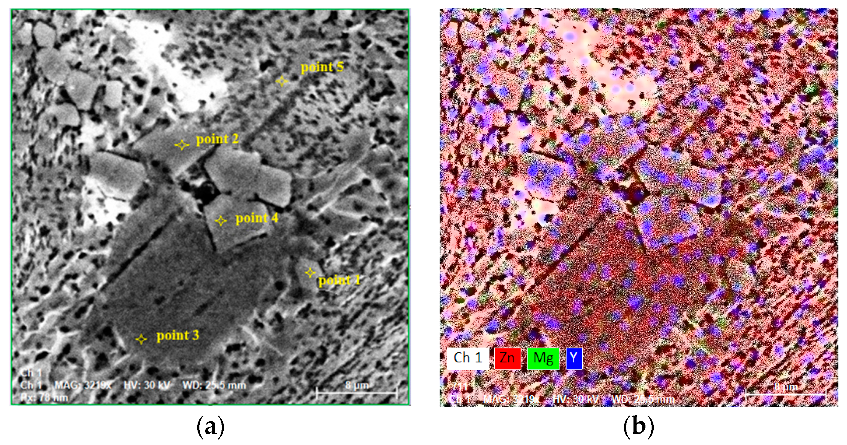 Metals 14 00836 g009