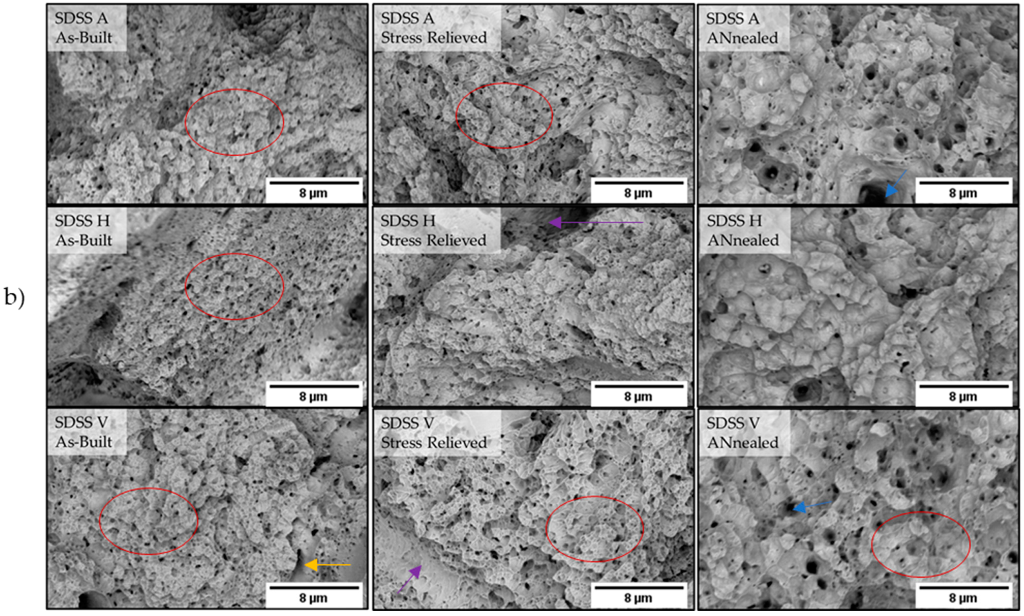 Metals 14 00838 g008b