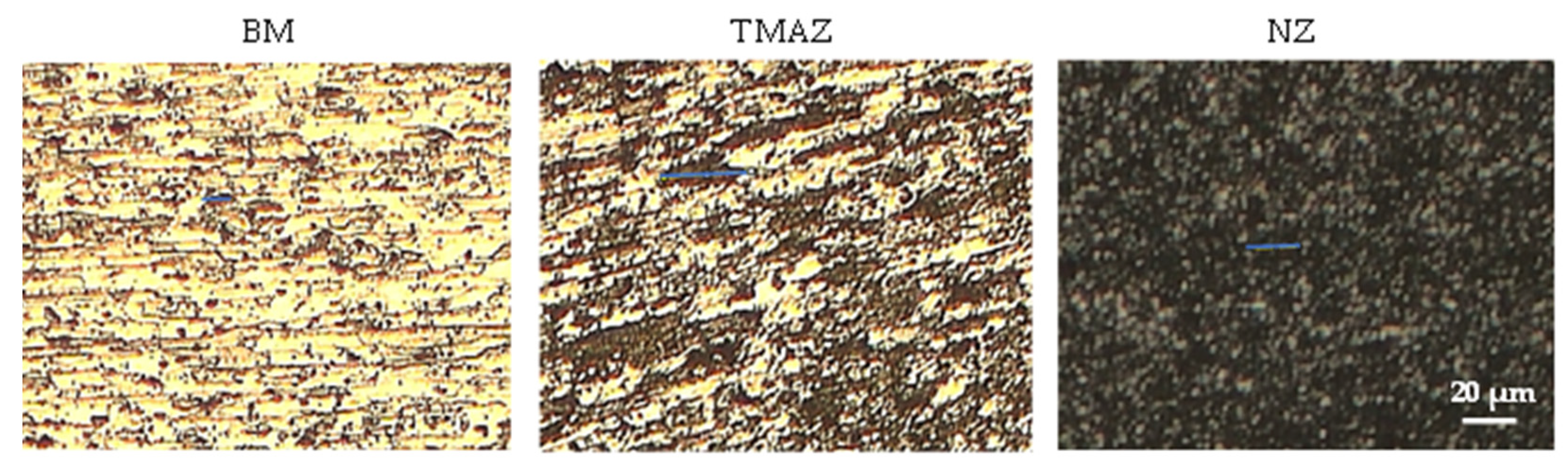 Metals 14 00839 g011