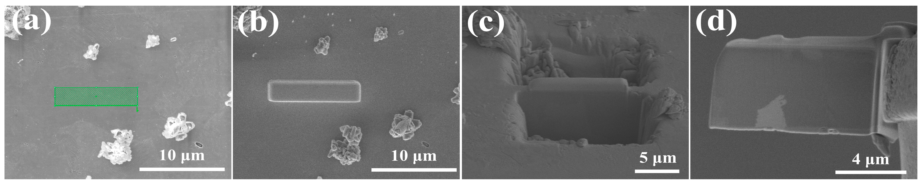 Metals 14 00859 g004