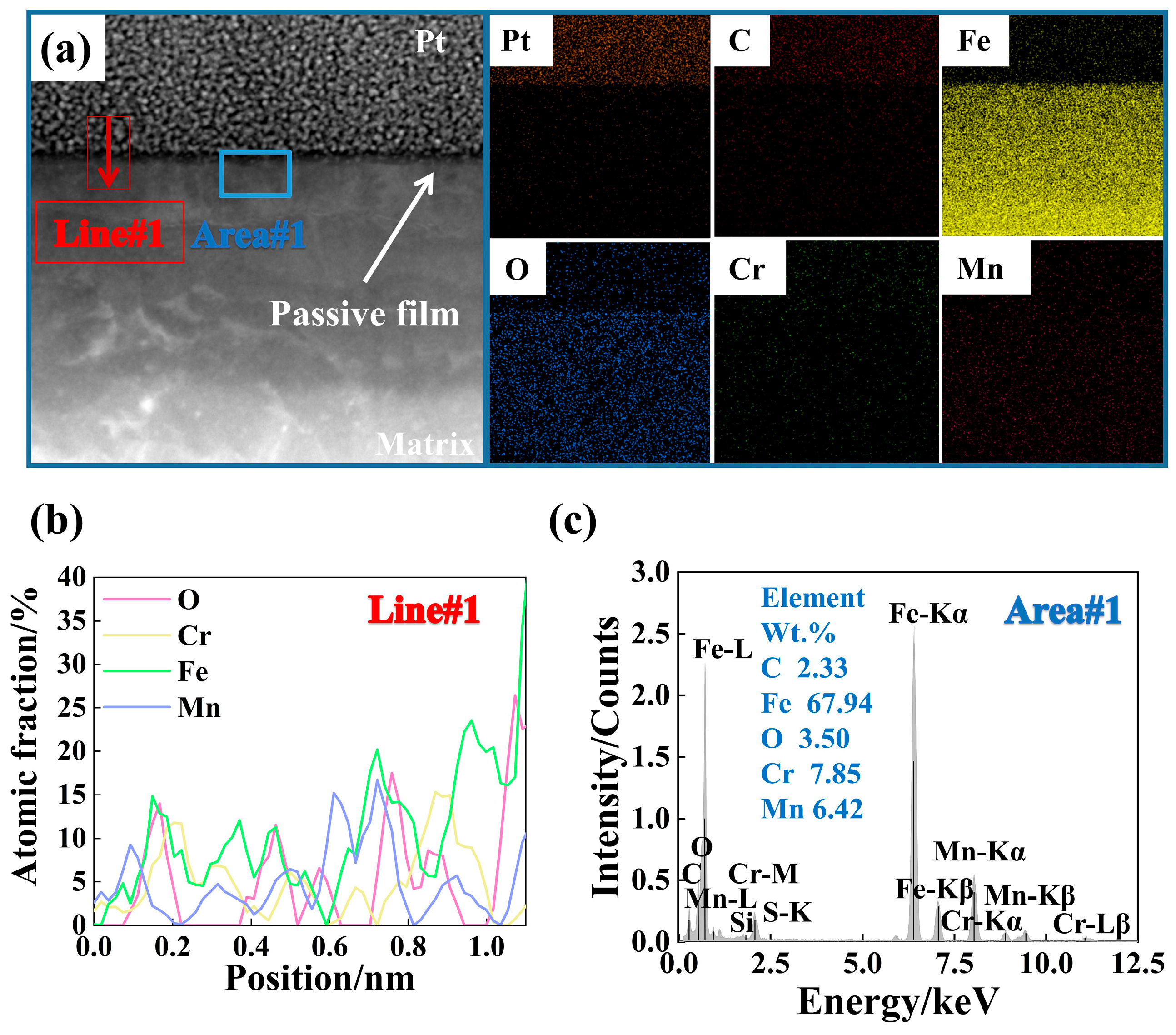Metals 14 00859 g006