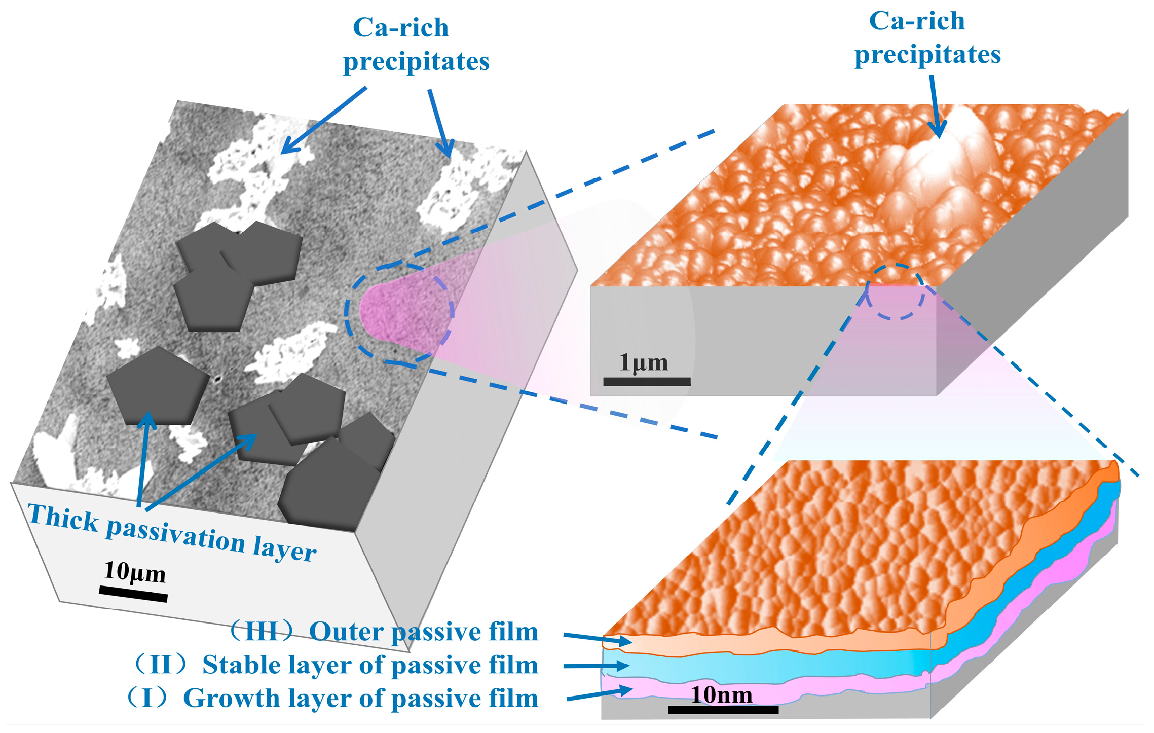 Metals 14 00859 g007