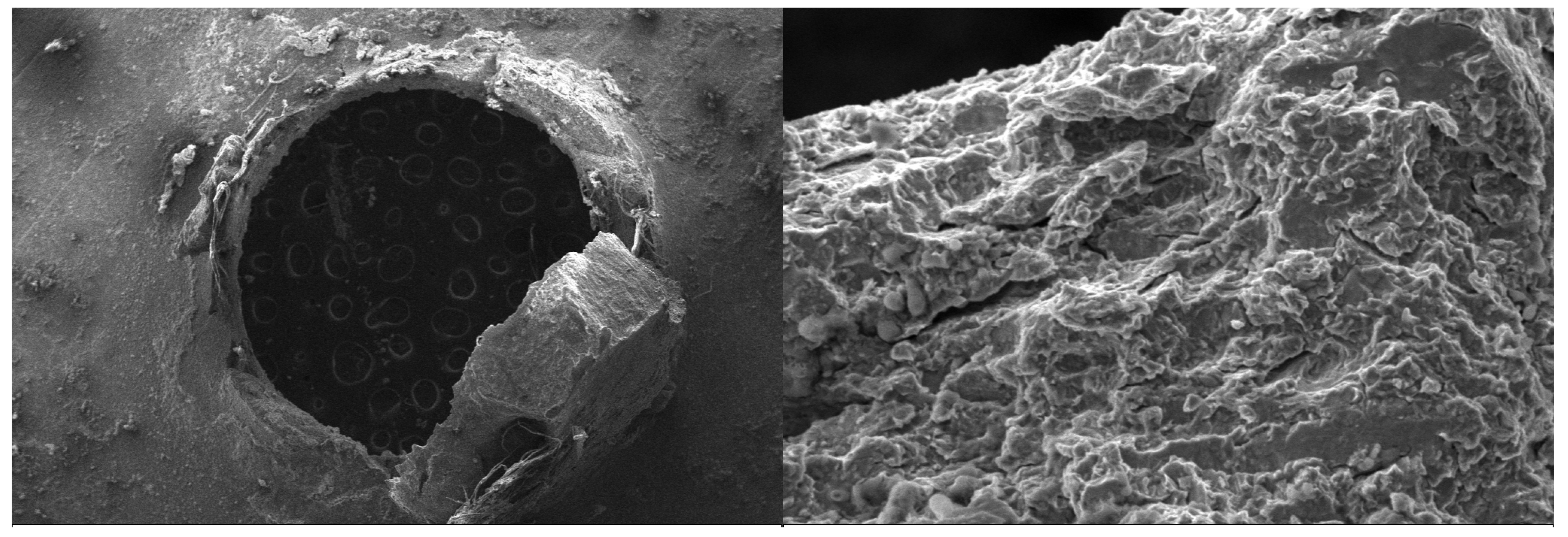 Metals 14 00863 g010