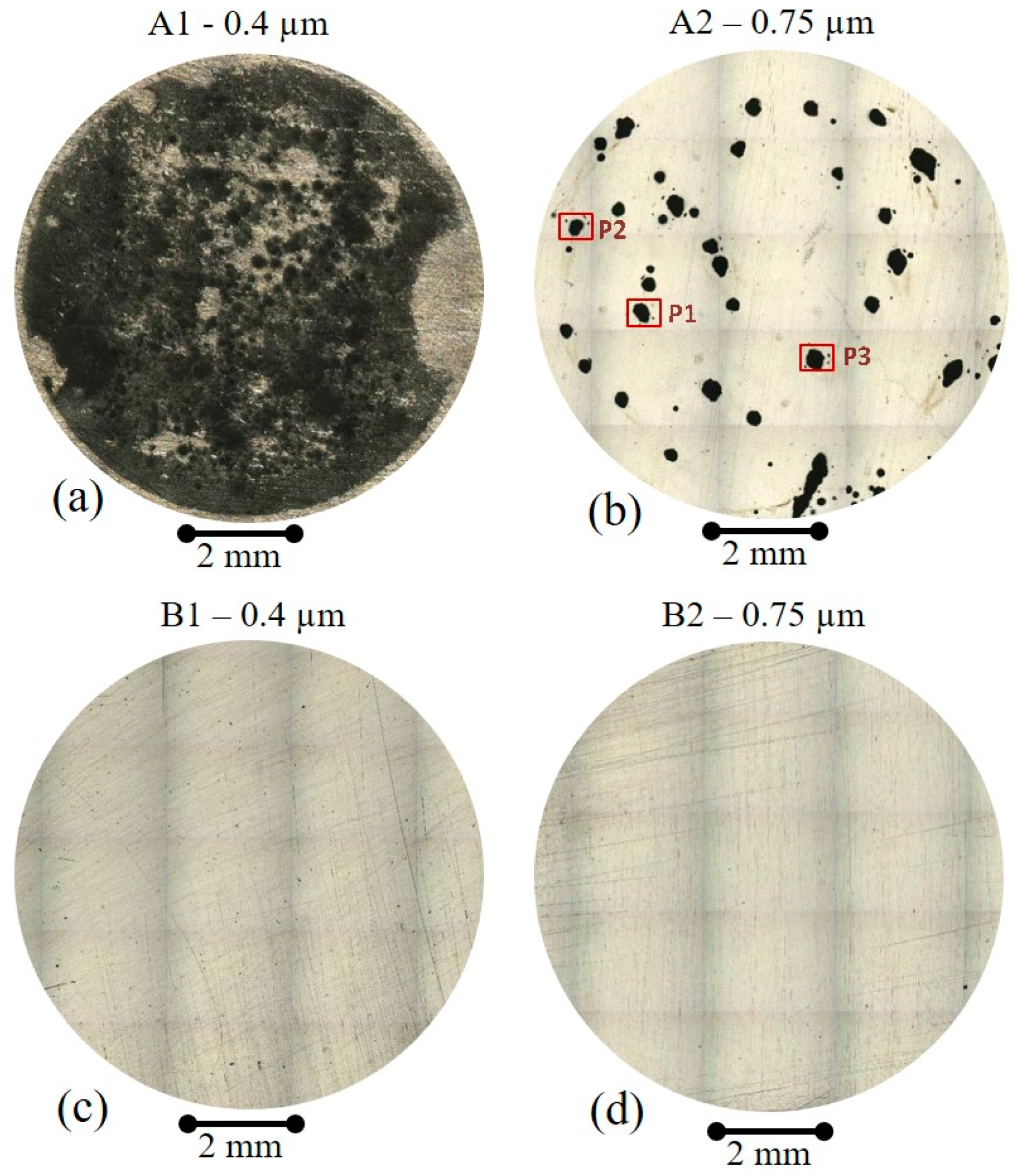 Metals 14 00864 g008