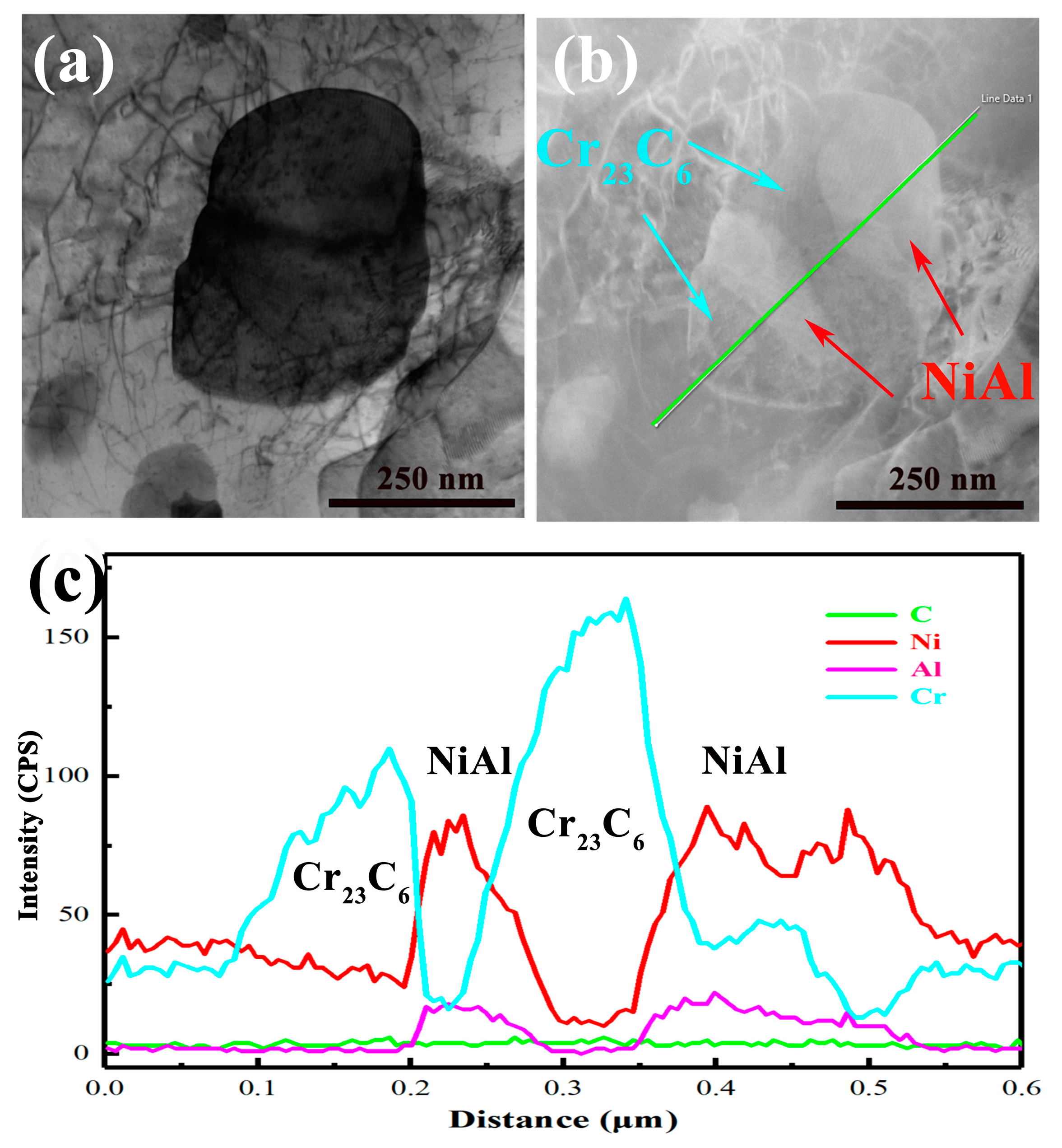 Metals 14 00870 g008