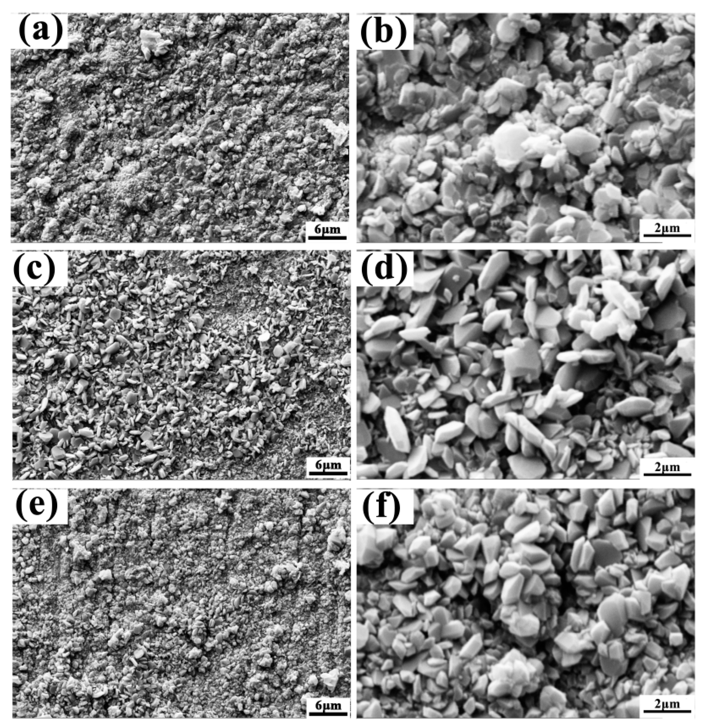 Metals 14 00870 g010