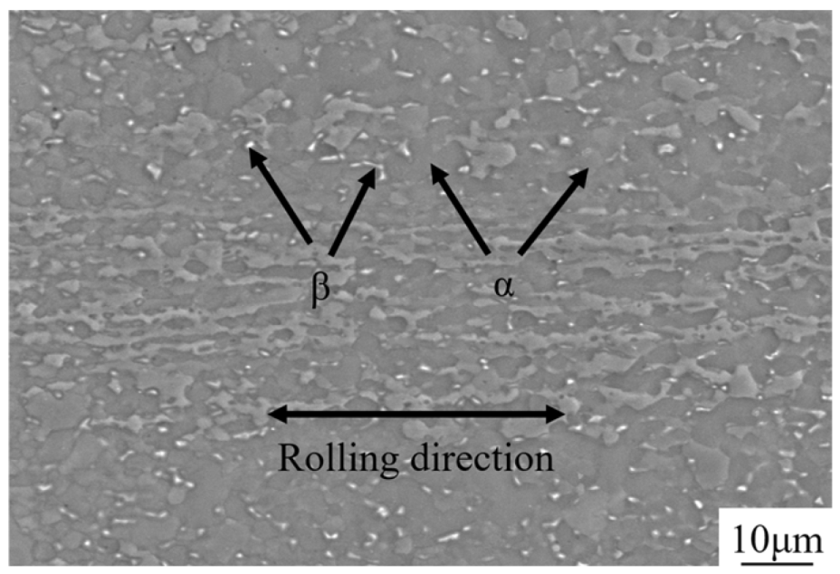 Metals 14 00893 g001