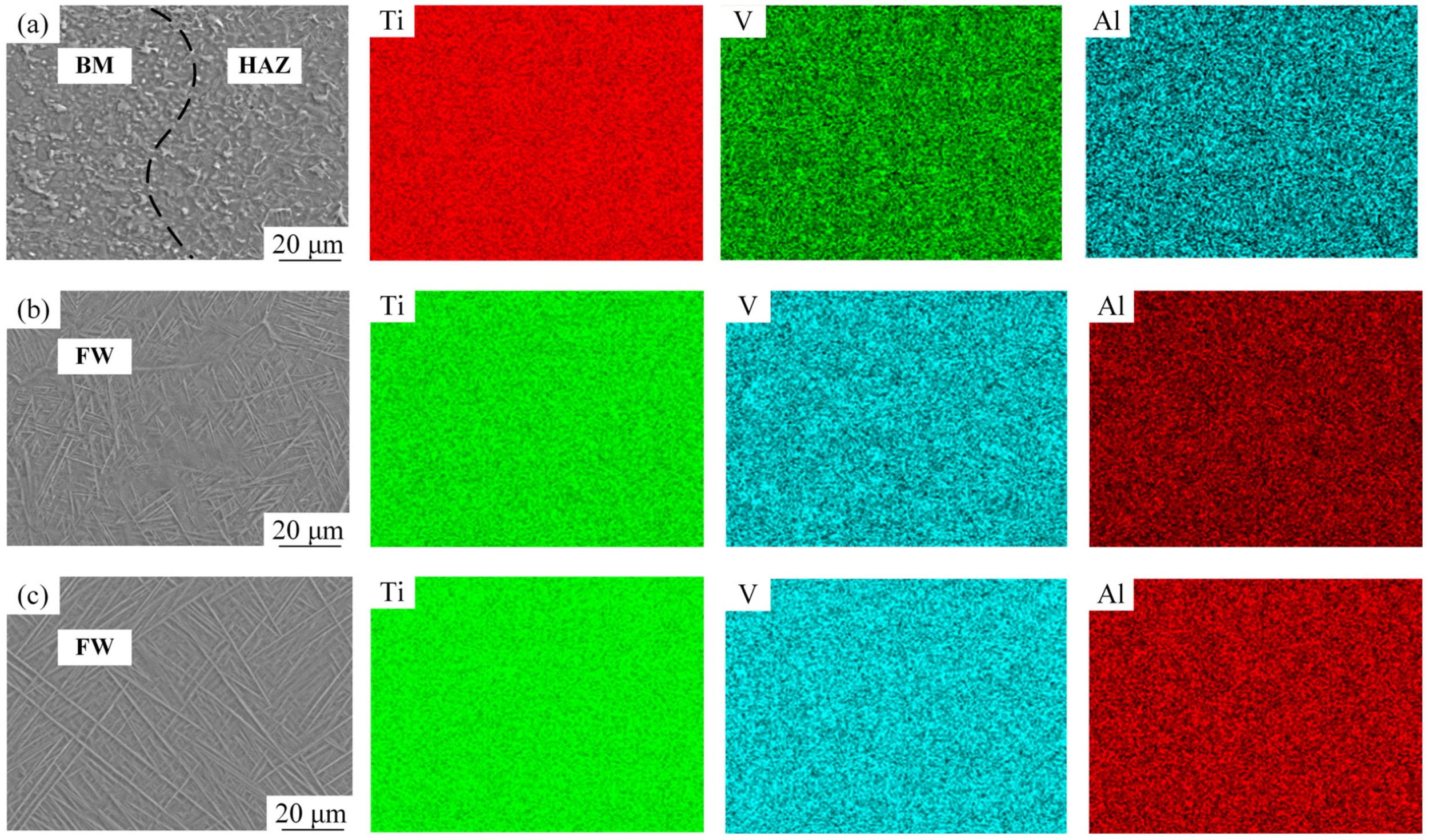 Metals 14 00893 g008