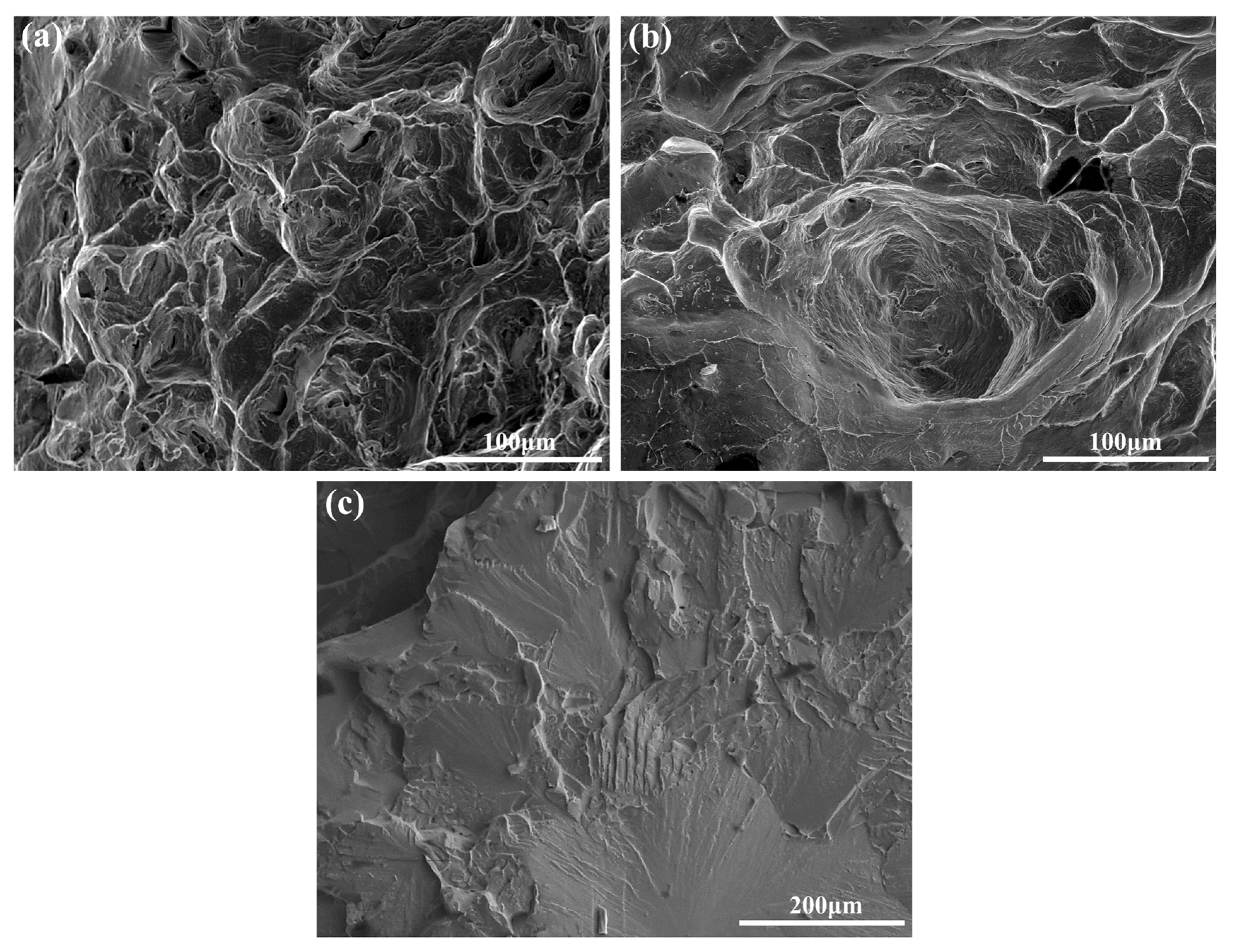 Metals 14 00894 g007