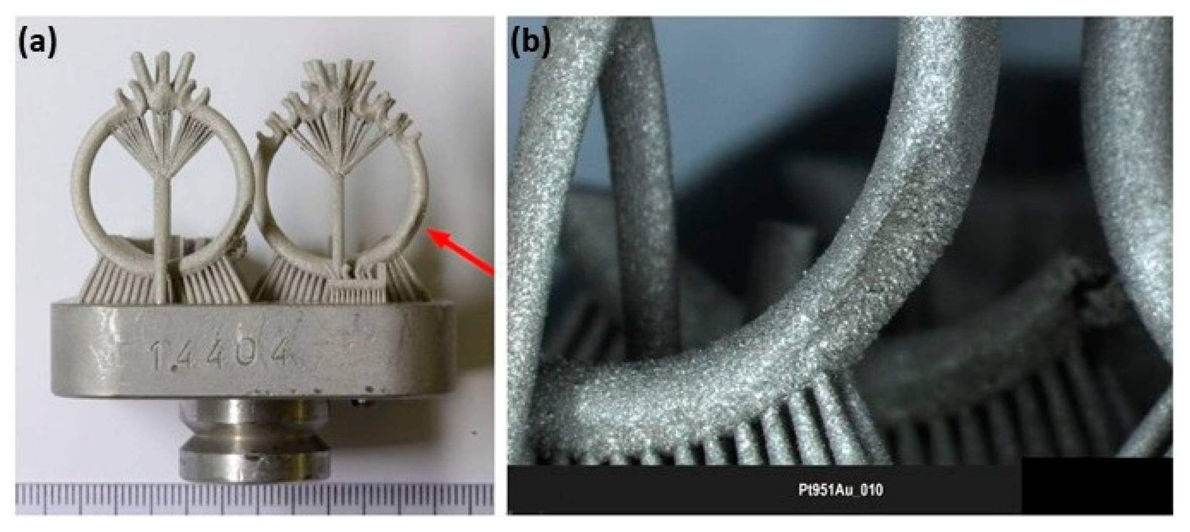 Metals 14 00897 g013 Metals 14 00897 g013