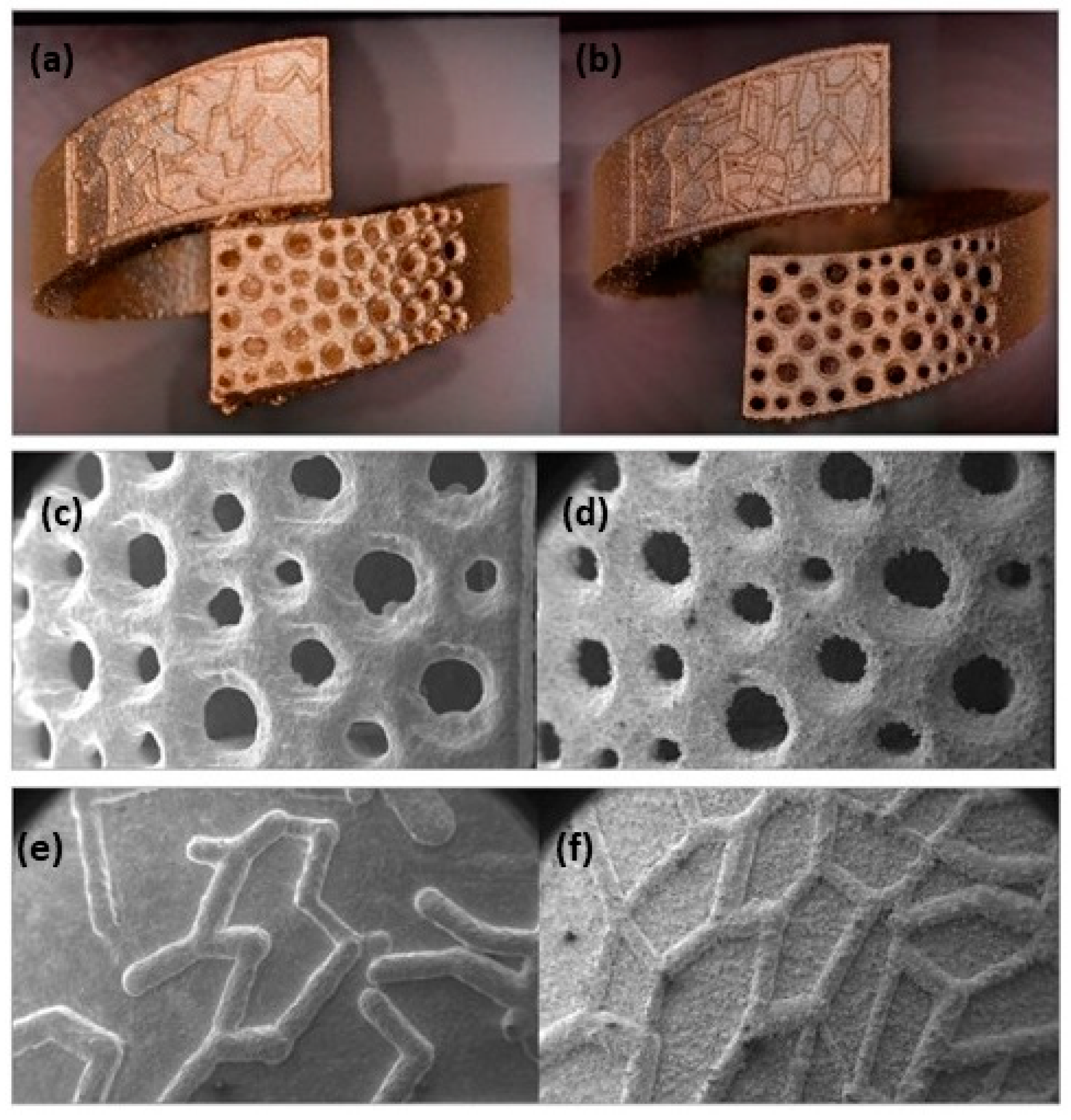 Metals 14 00897 g019 Metals 14 00897 g019