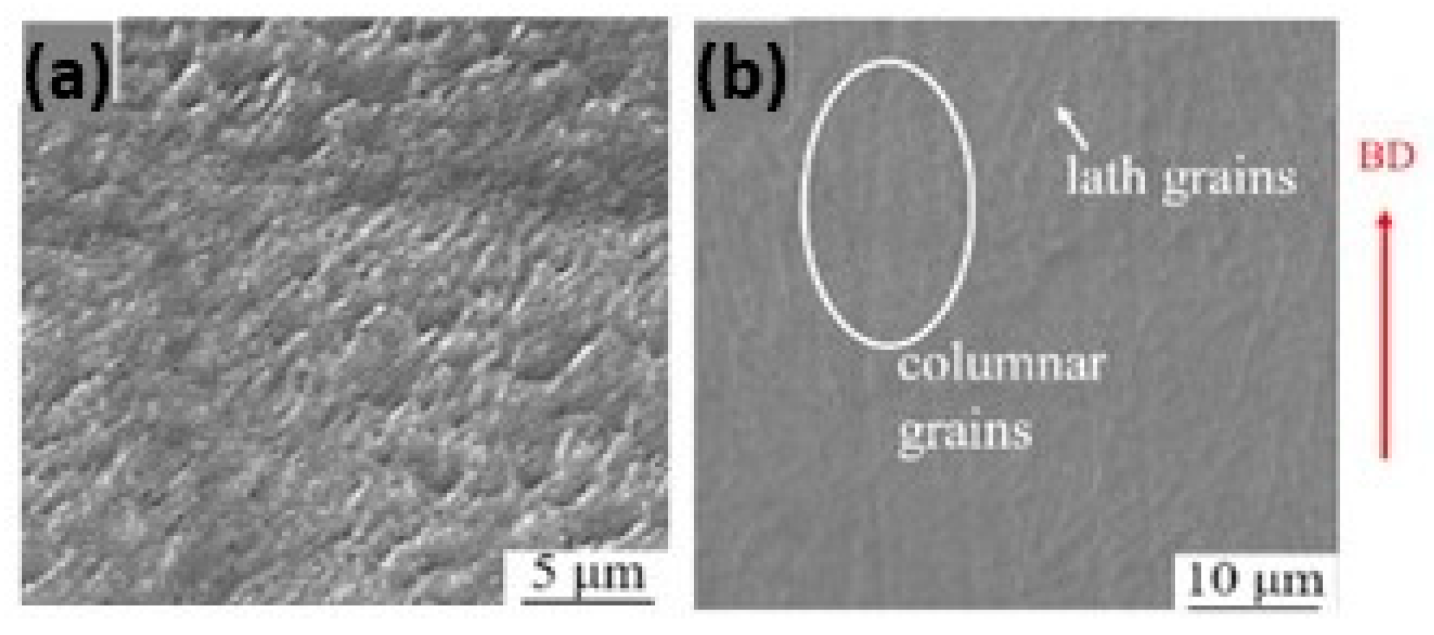 Metals 14 00897 g022 Metals 14 00897 g022