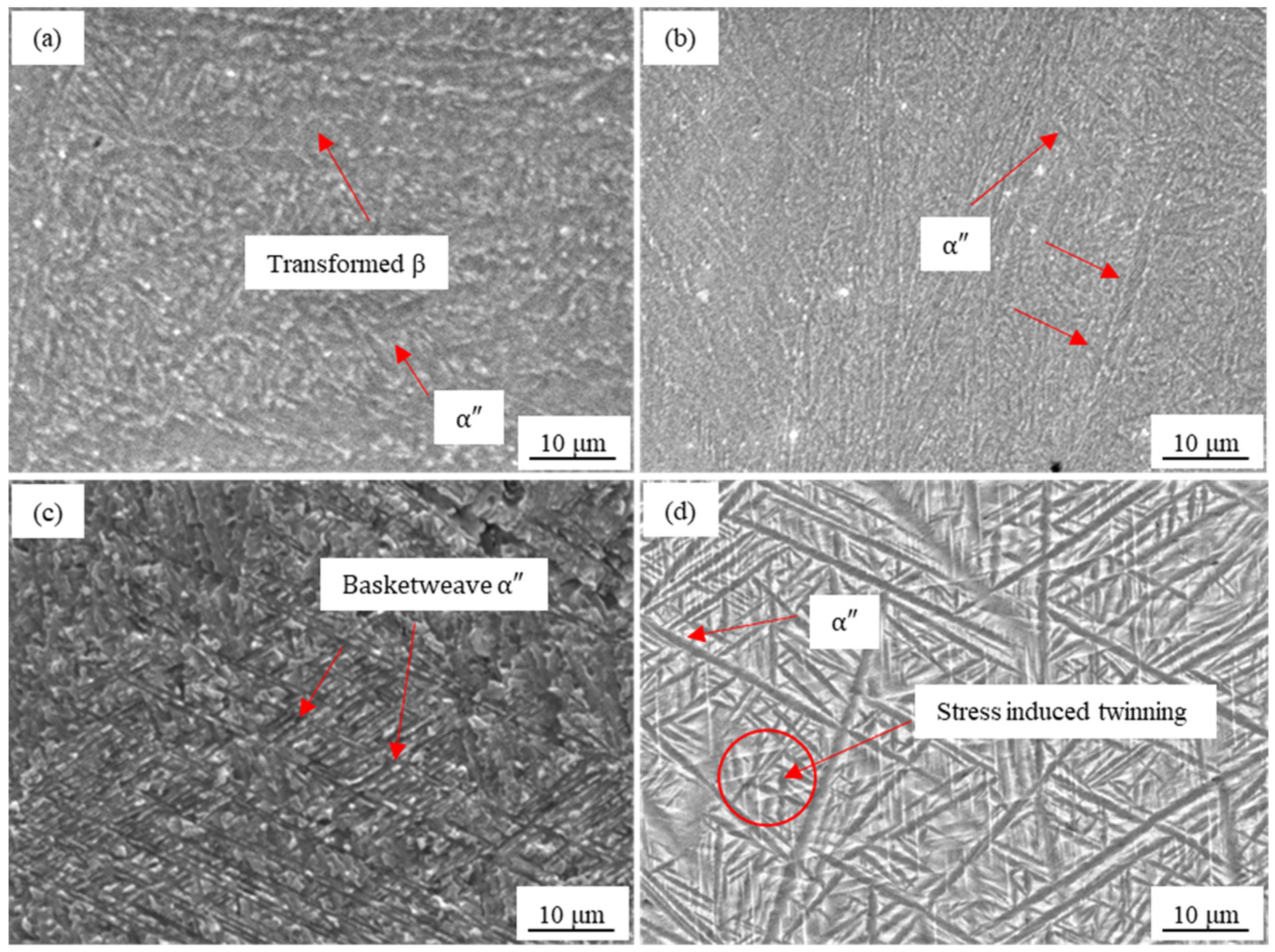 Metals 14 00901 g002