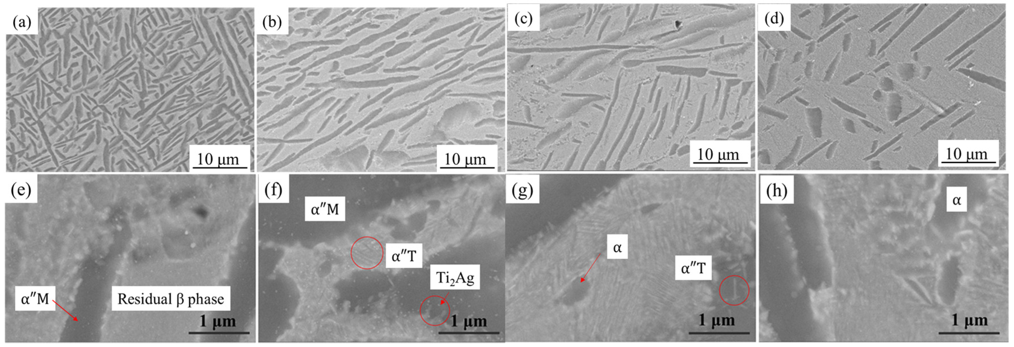 Metals 14 00901 g006