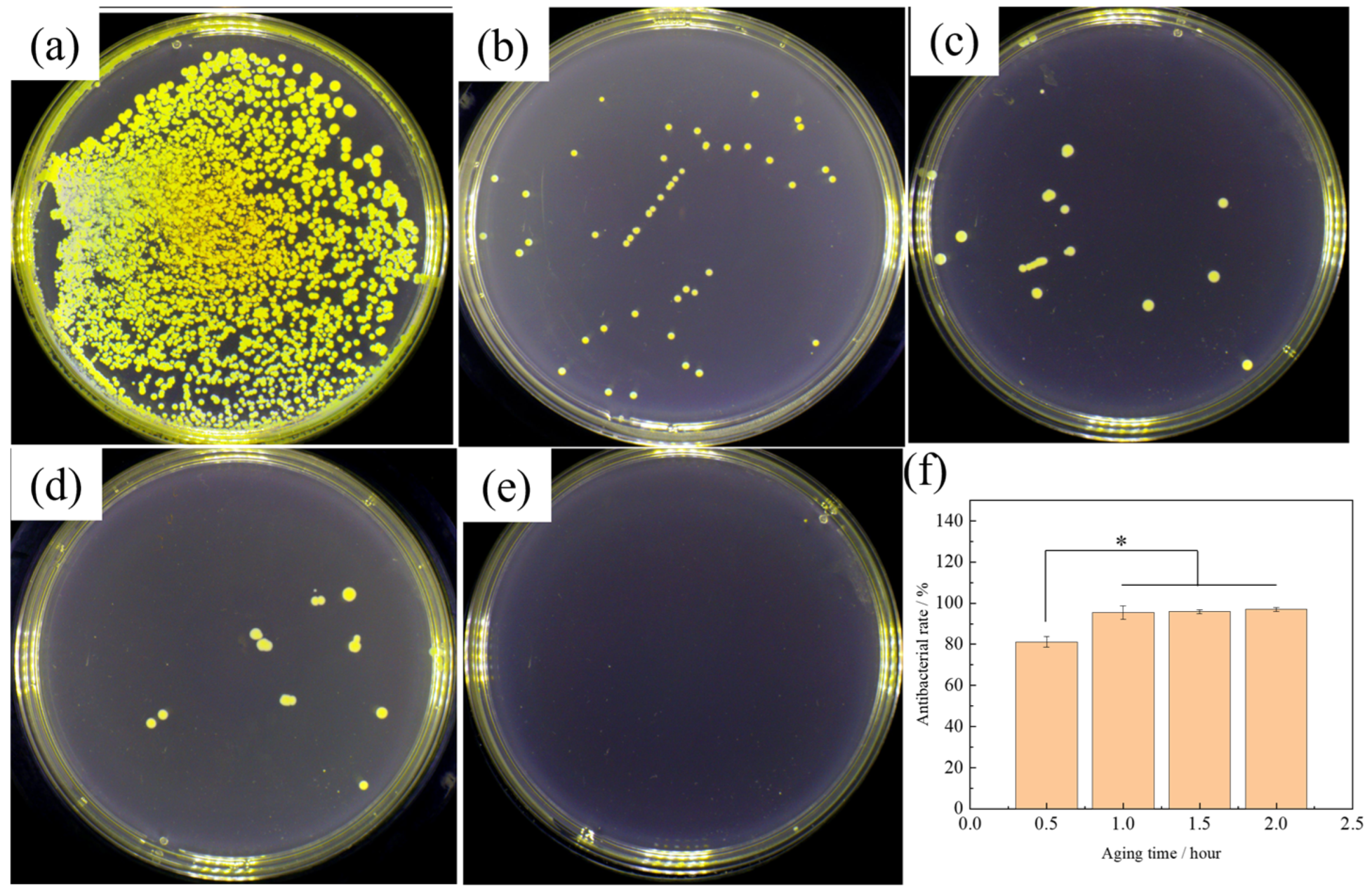 Metals 14 00901 g011