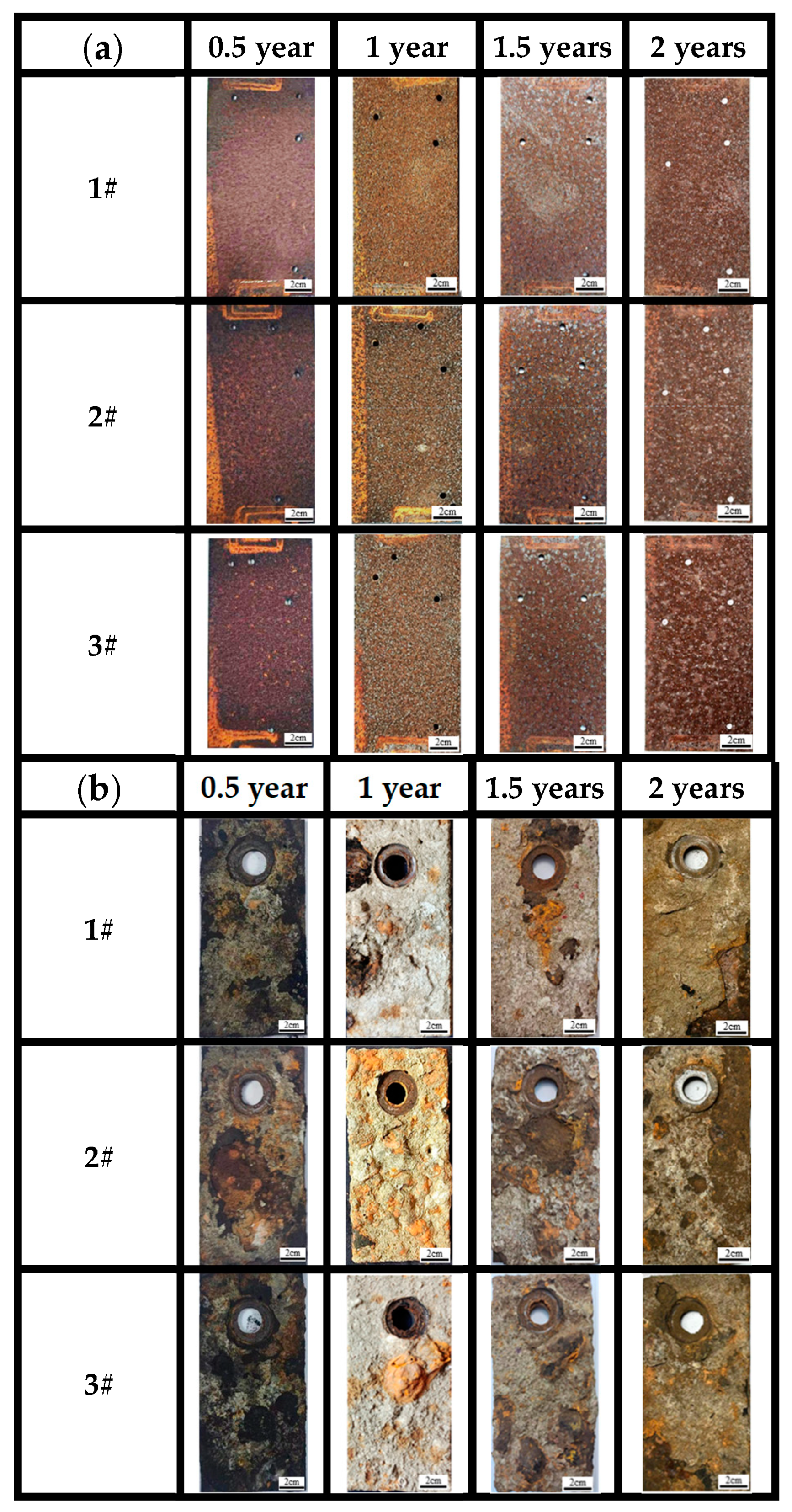 Metals 14 00903 g005