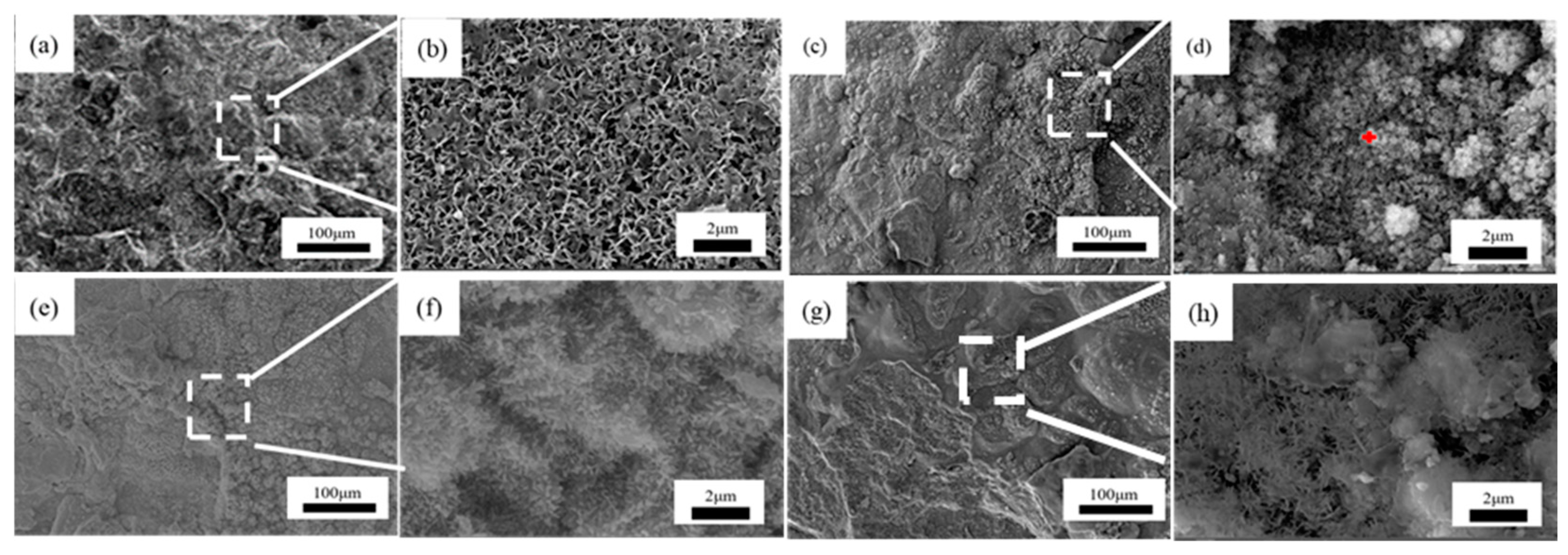 Metals 14 00903 g007