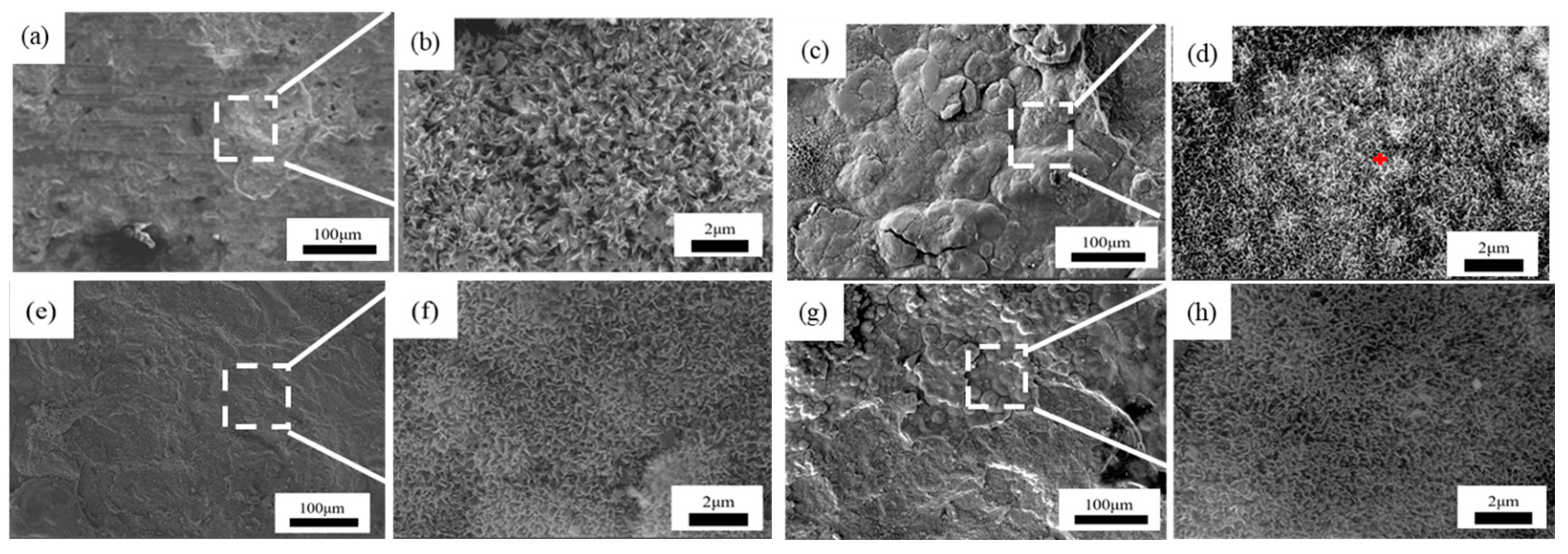 Metals 14 00903 g009