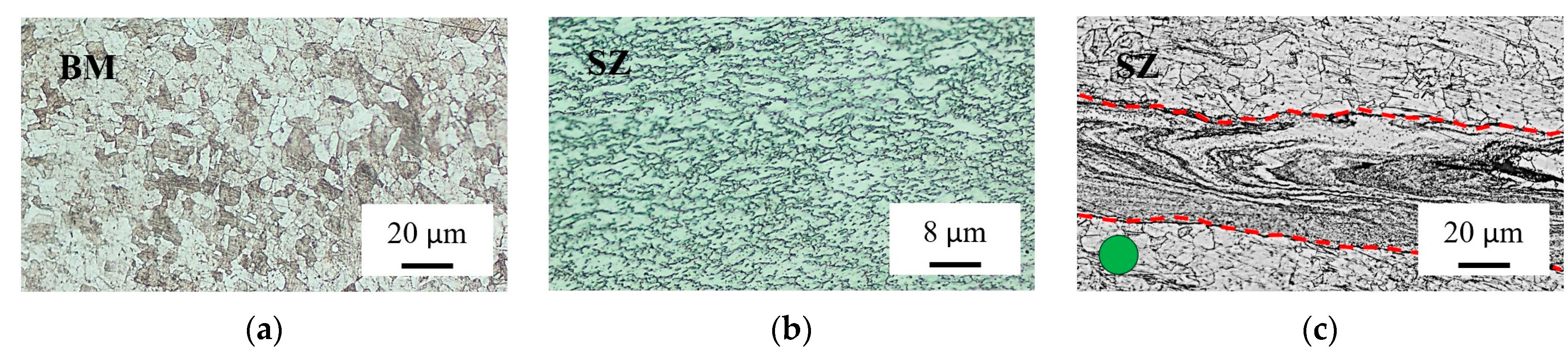 Metals 14 00911 g010