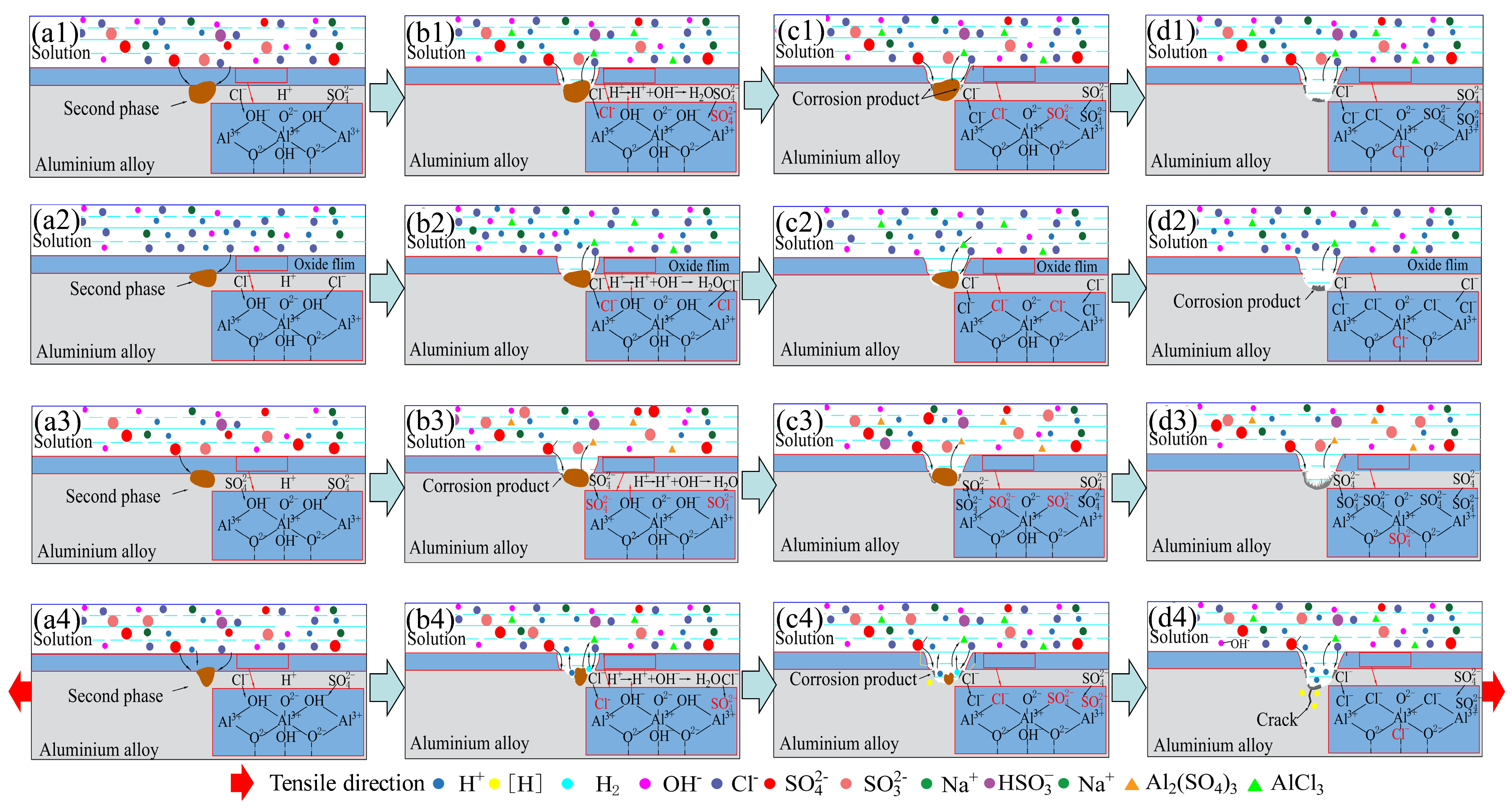 Metals 14 00925 g013