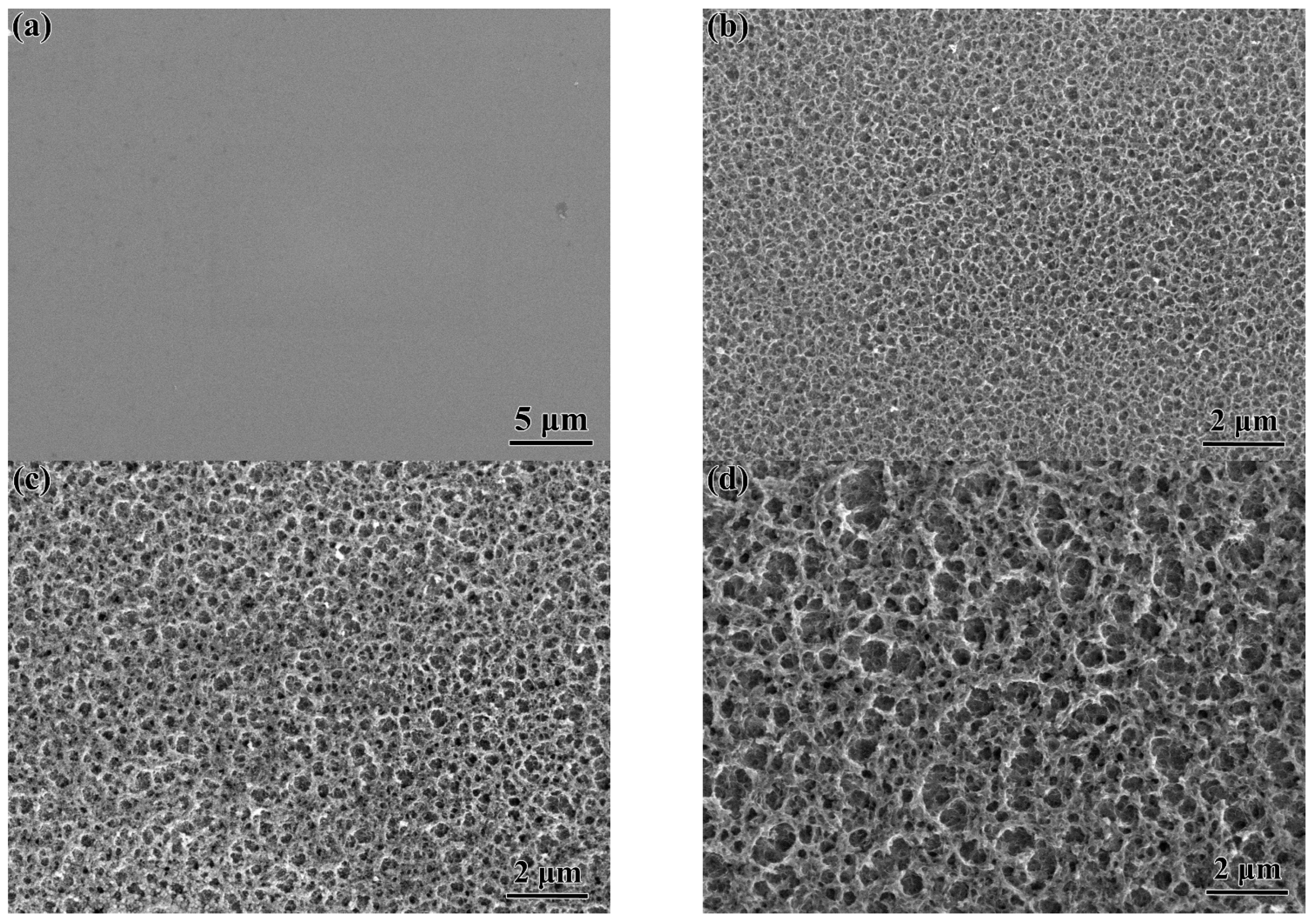 Metals 14 00936 g001