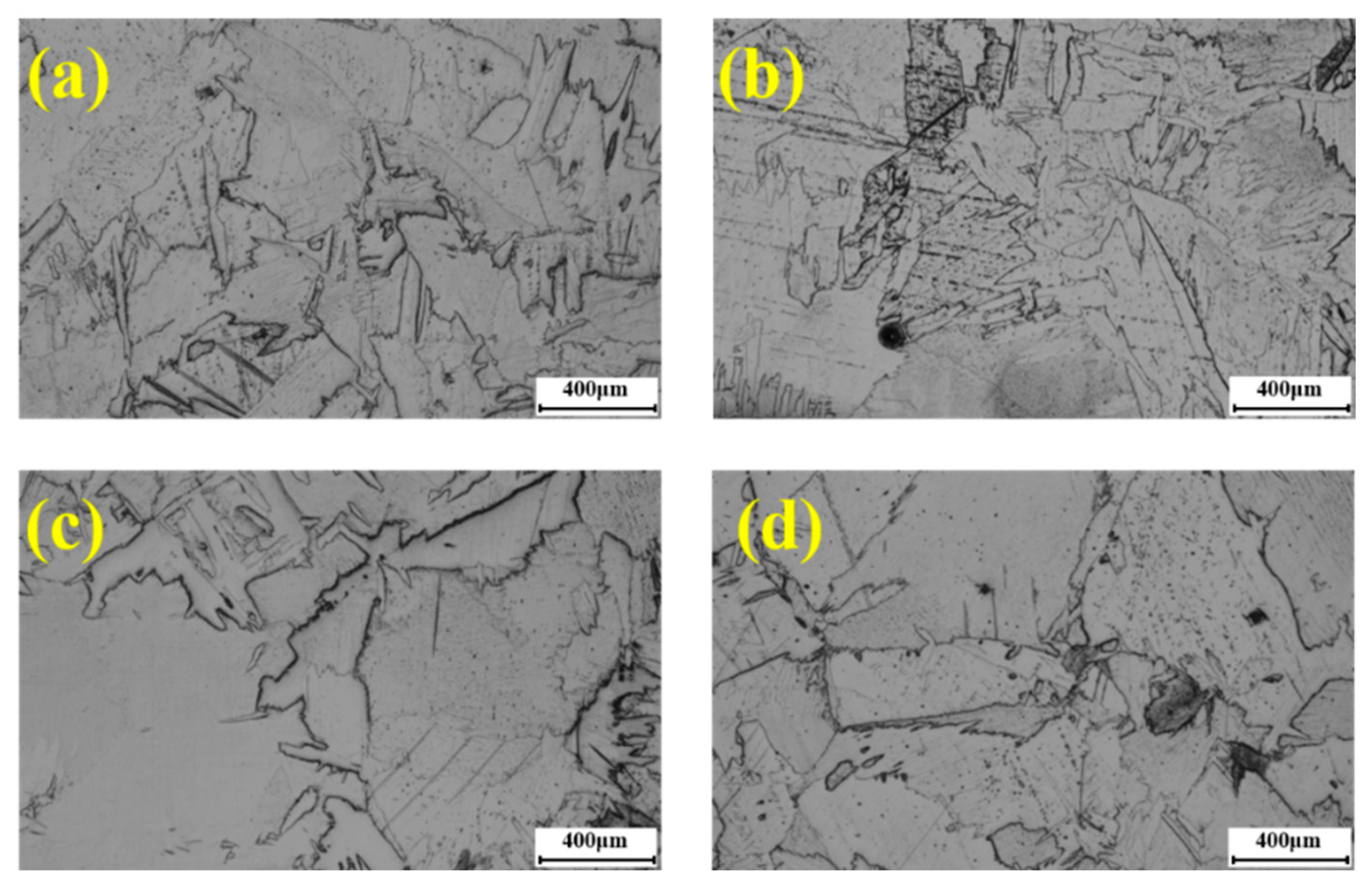 Metals 14 00946 g010