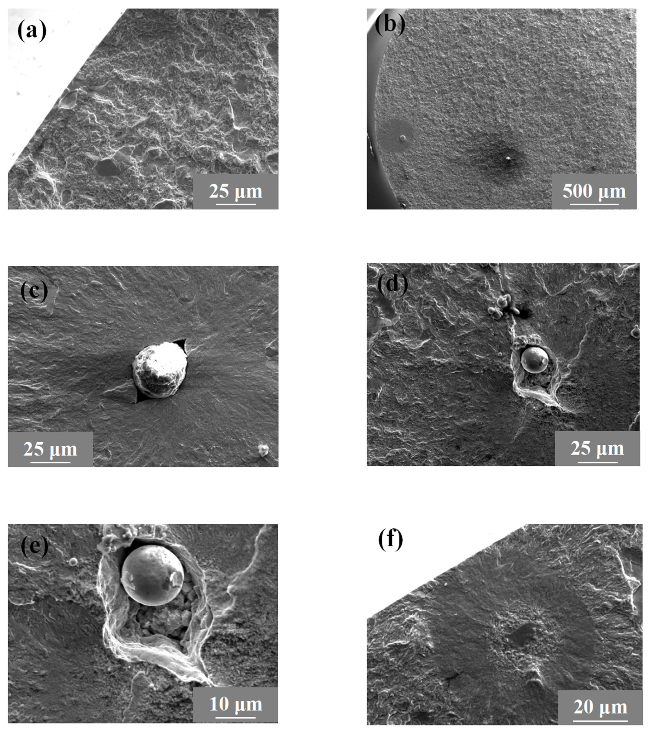 Metals 14 00948 g008