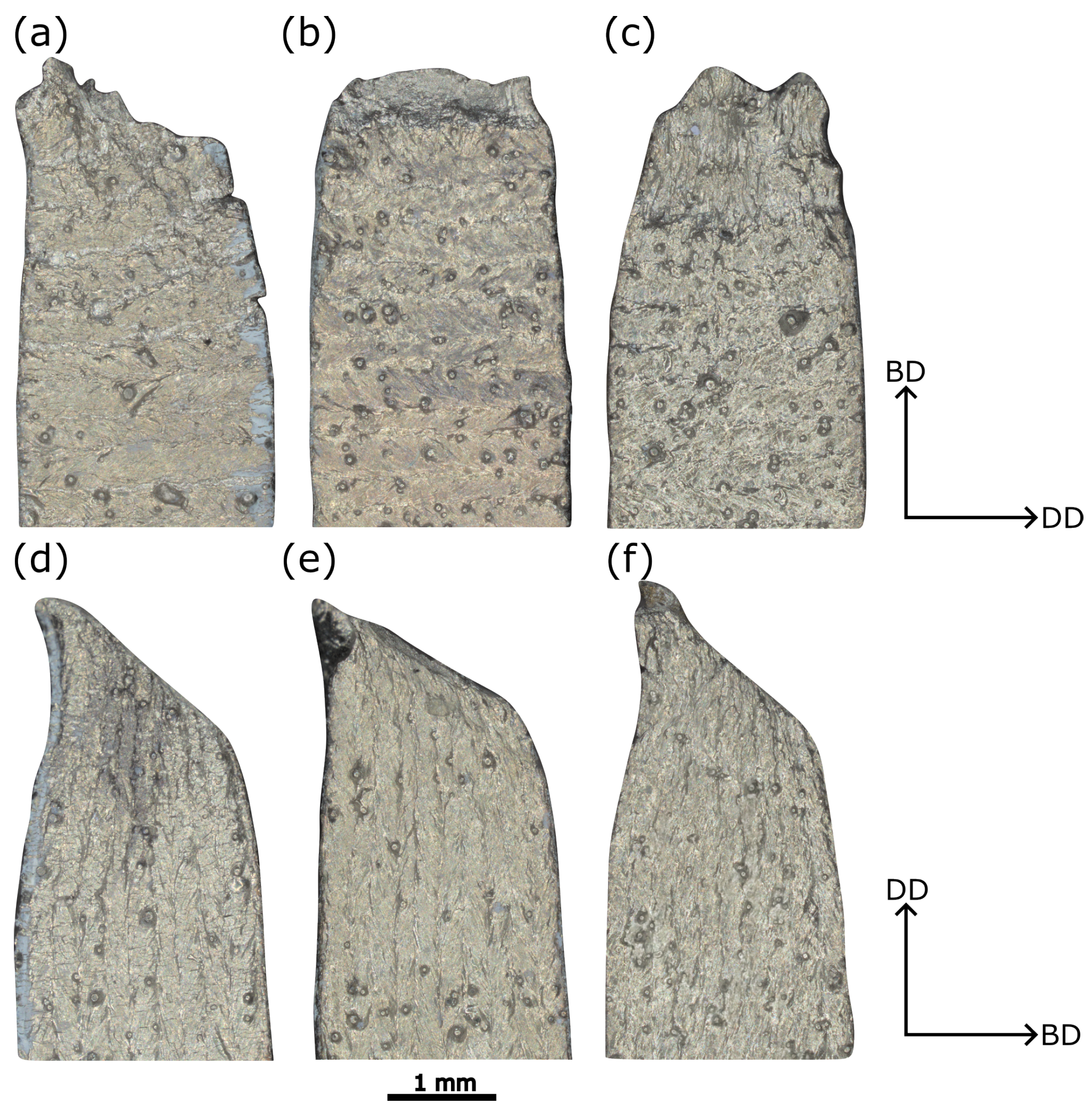 Metals 14 00958 g009