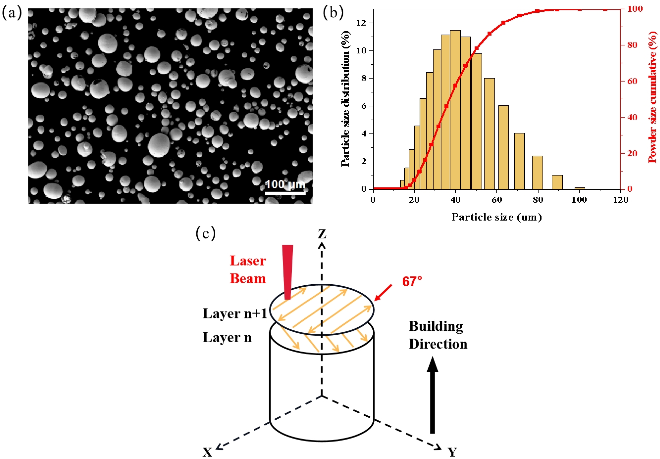 Metals 14 00961 g001