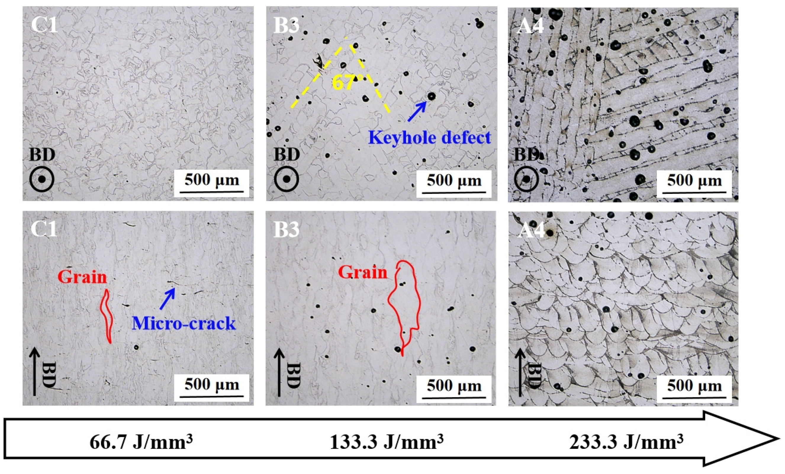Metals 14 00961 g010