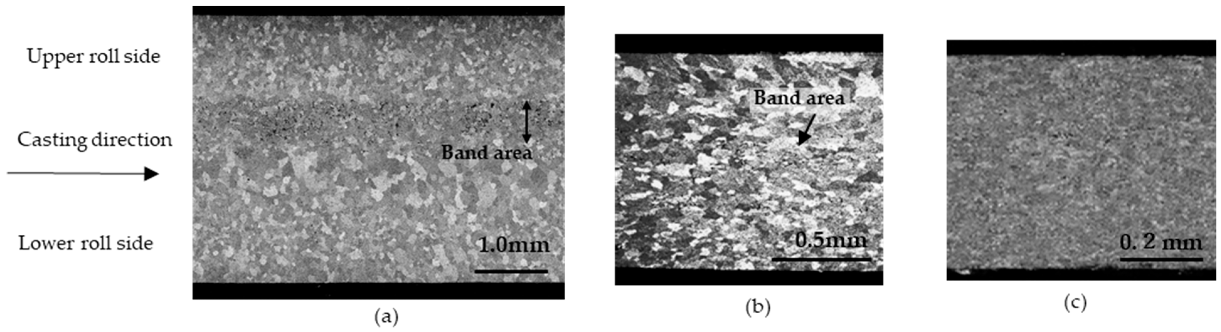 Metals 14 00965 g004