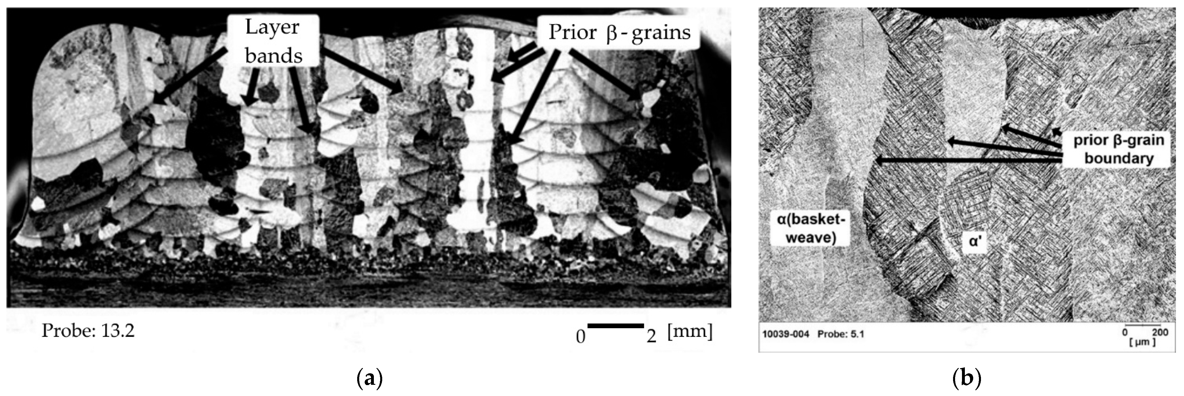 Metals 14 00966 g002