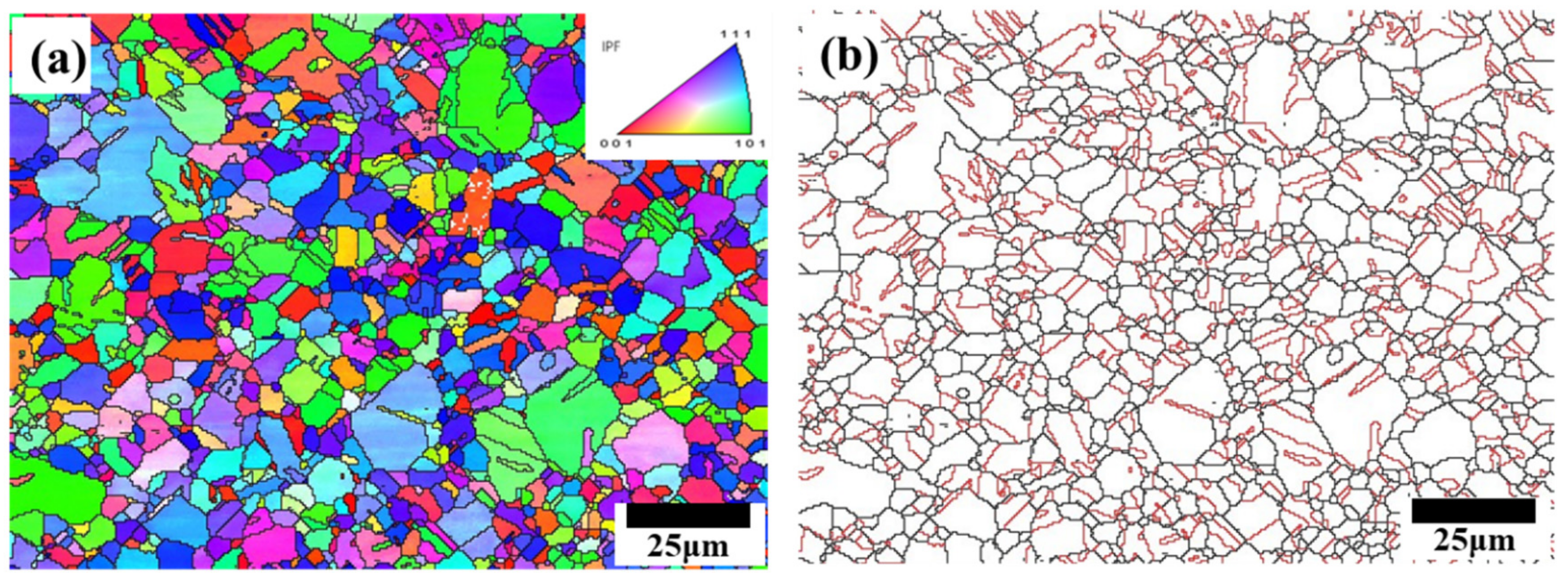 Metals 14 00971 g001